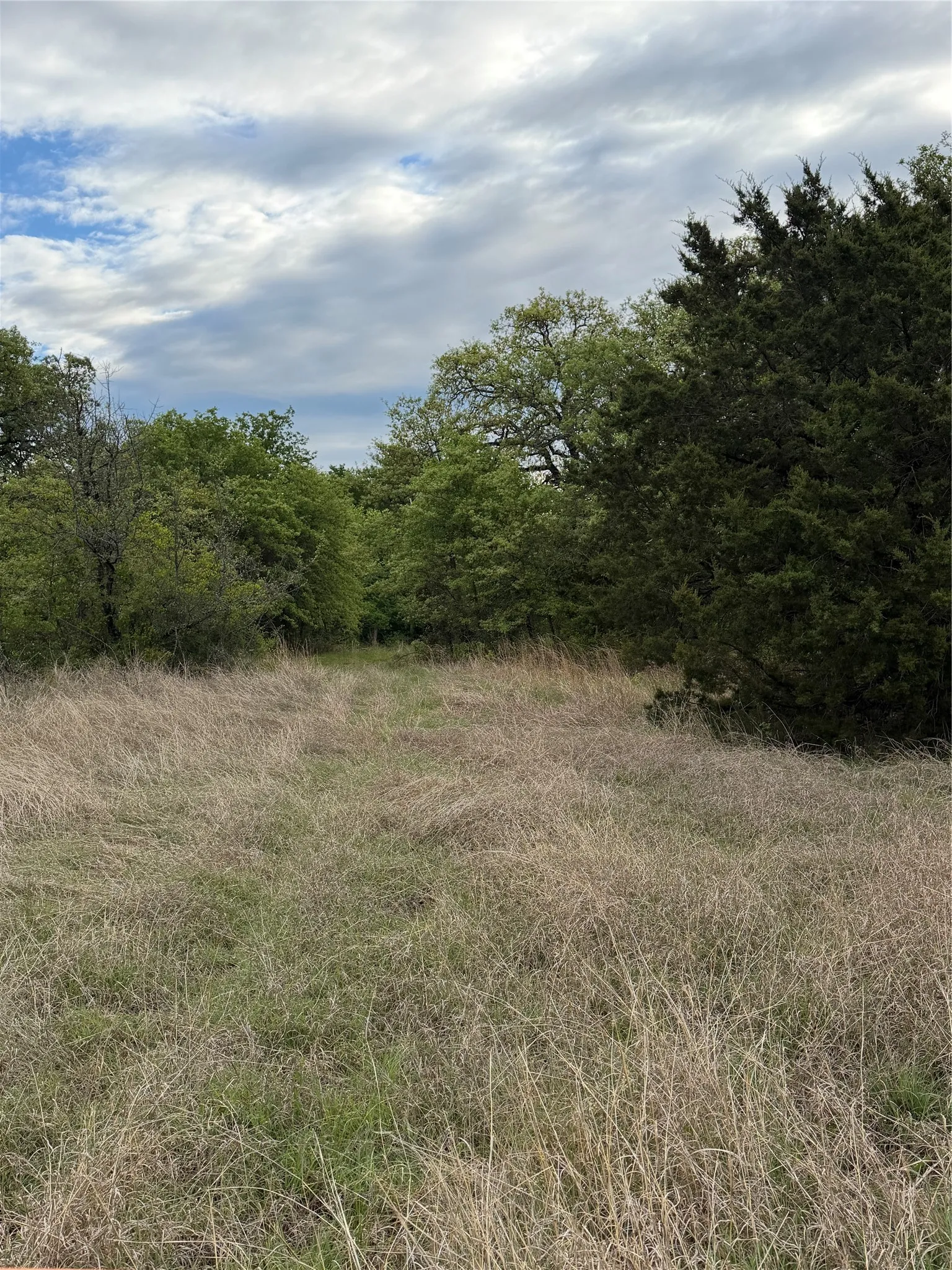 Unimproved Land For Sale in Parker County , 1576 Adell Circle, Peaster, Texas 76088, 0, 0, Garage spaces, 0 Sqft, built in 0, mls#21373661, Real Estate Agent in Peaster, Homes For Sale in Parker county, Homes For Sale in Peaster, Realtor in Peaster Texas, Real Estate Brokerage Independent Realty Texas, Luminita Cordes Realtor