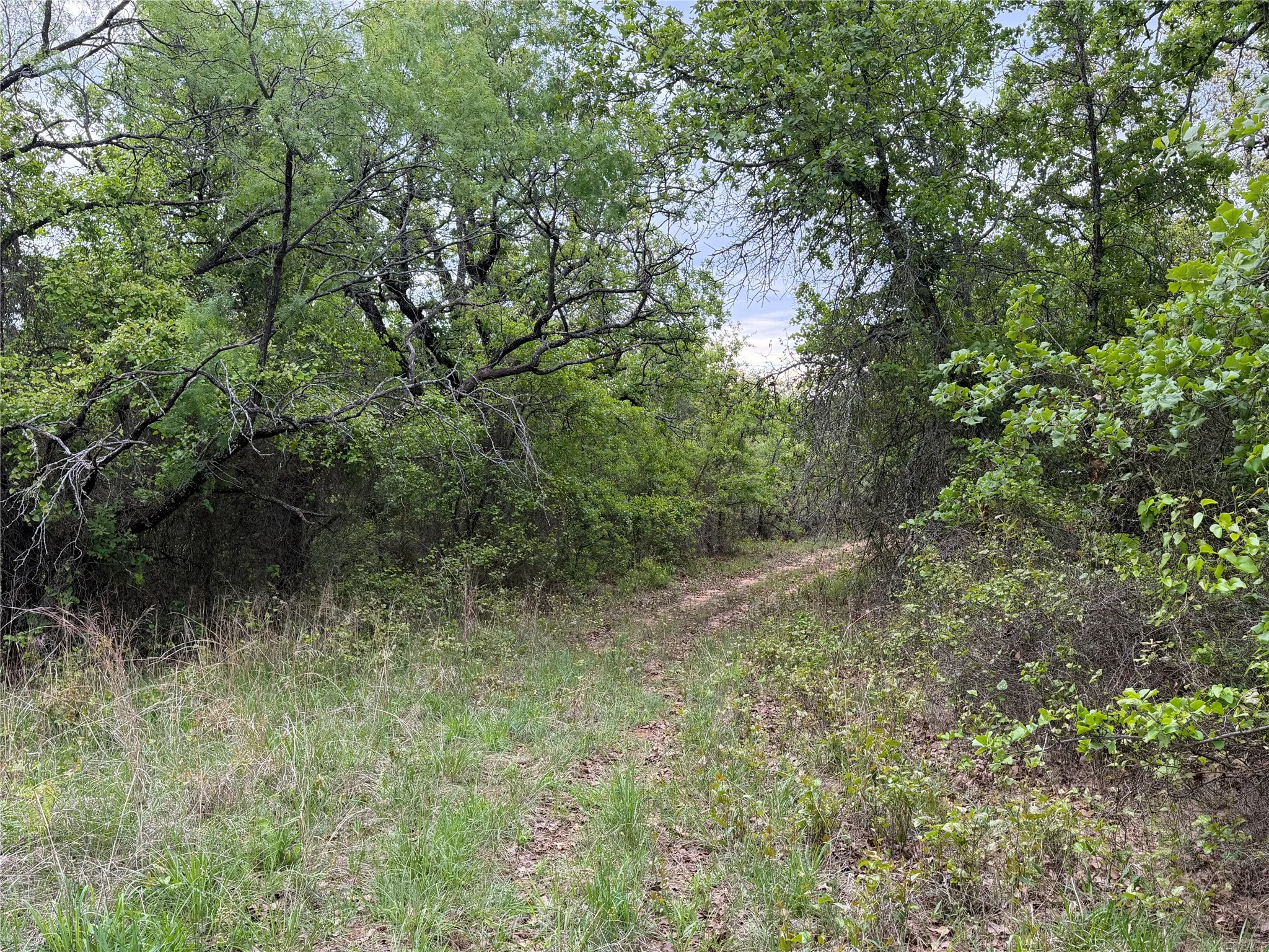 Unimproved Land For Sale in Parker County , 1576 Adell Circle, Peaster, Texas 76088, 0, 0, Garage spaces, 0 Sqft, built in 0, mls#21373661, Real Estate Agent in Peaster, Homes For Sale in Parker county, Homes For Sale in Peaster, Realtor in Peaster Texas, Real Estate Brokerage Independent Realty Texas, Luminita Cordes Realtor