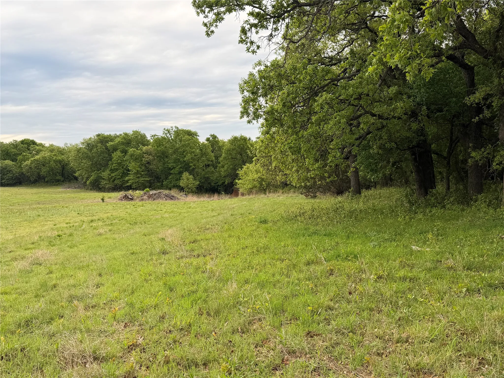 Unimproved Land For Sale in Parker County , 1576 Adell Circle, Peaster, Texas 76088, 0, 0, Garage spaces, 0 Sqft, built in 0, mls#21373661, Real Estate Agent in Peaster, Homes For Sale in Parker county, Homes For Sale in Peaster, Realtor in Peaster Texas, Real Estate Brokerage Independent Realty Texas, Luminita Cordes Realtor