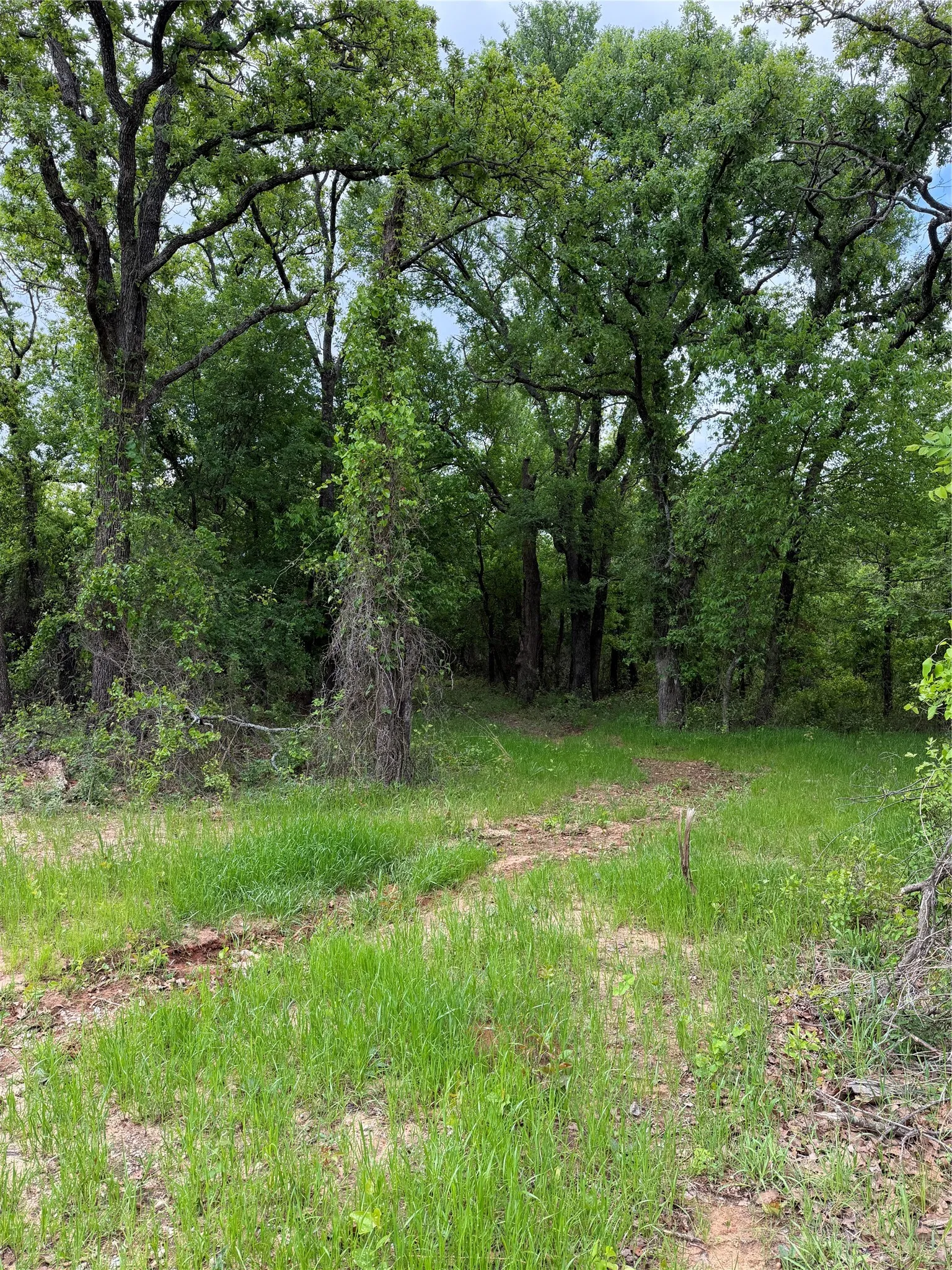Unimproved Land For Sale in Parker County , 1576 Adell Circle, Peaster, Texas 76088, 0, 0, Garage spaces, 0 Sqft, built in 0, mls#21373661, Real Estate Agent in Peaster, Homes For Sale in Parker county, Homes For Sale in Peaster, Realtor in Peaster Texas, Real Estate Brokerage Independent Realty Texas, Luminita Cordes Realtor