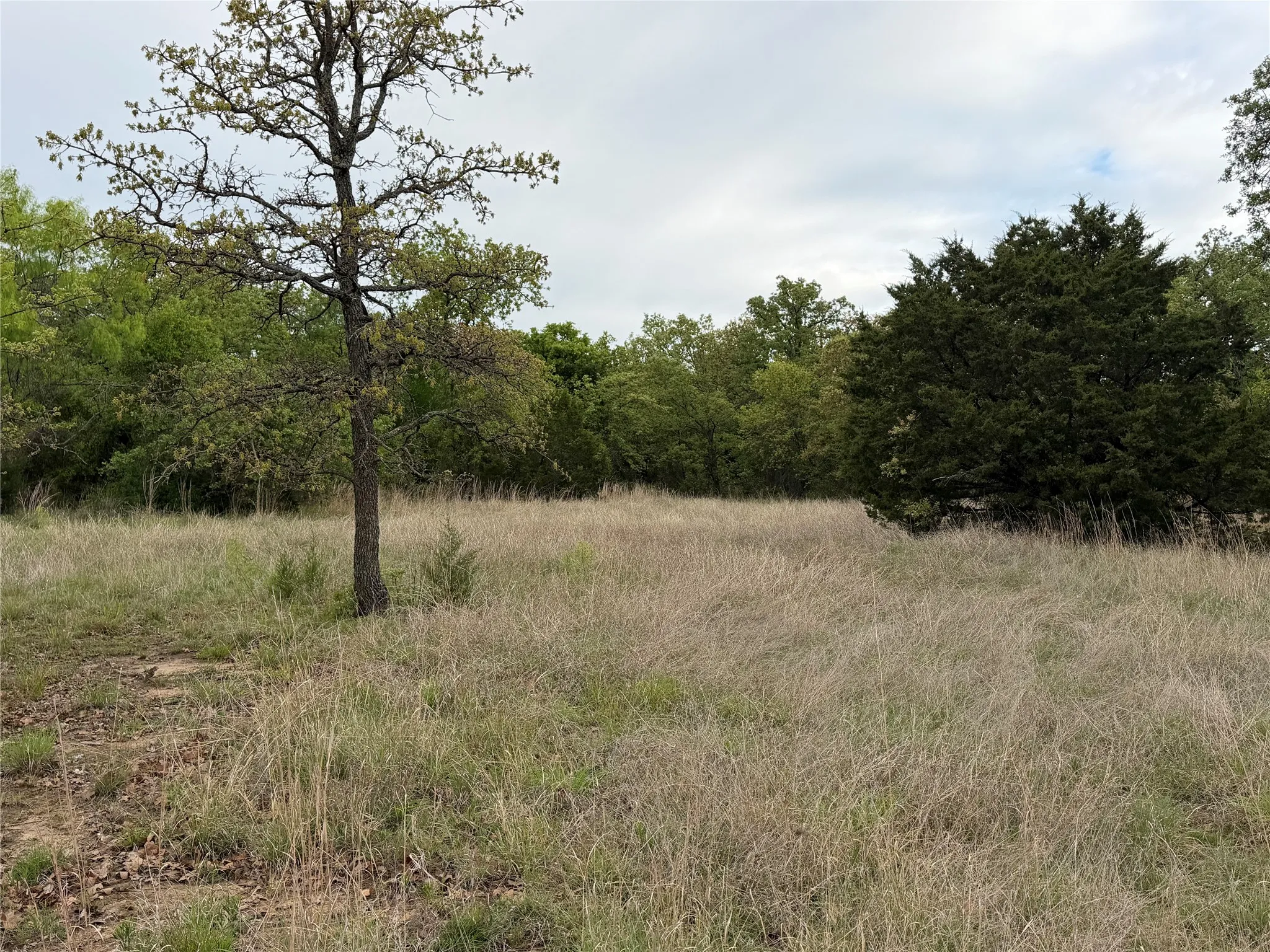 Unimproved Land For Sale in Parker County , 1576 Adell Circle, Peaster, Texas 76088, 0, 0, Garage spaces, 0 Sqft, built in 0, mls#21373661, Real Estate Agent in Peaster, Homes For Sale in Parker county, Homes For Sale in Peaster, Realtor in Peaster Texas, Real Estate Brokerage Independent Realty Texas, Luminita Cordes Realtor