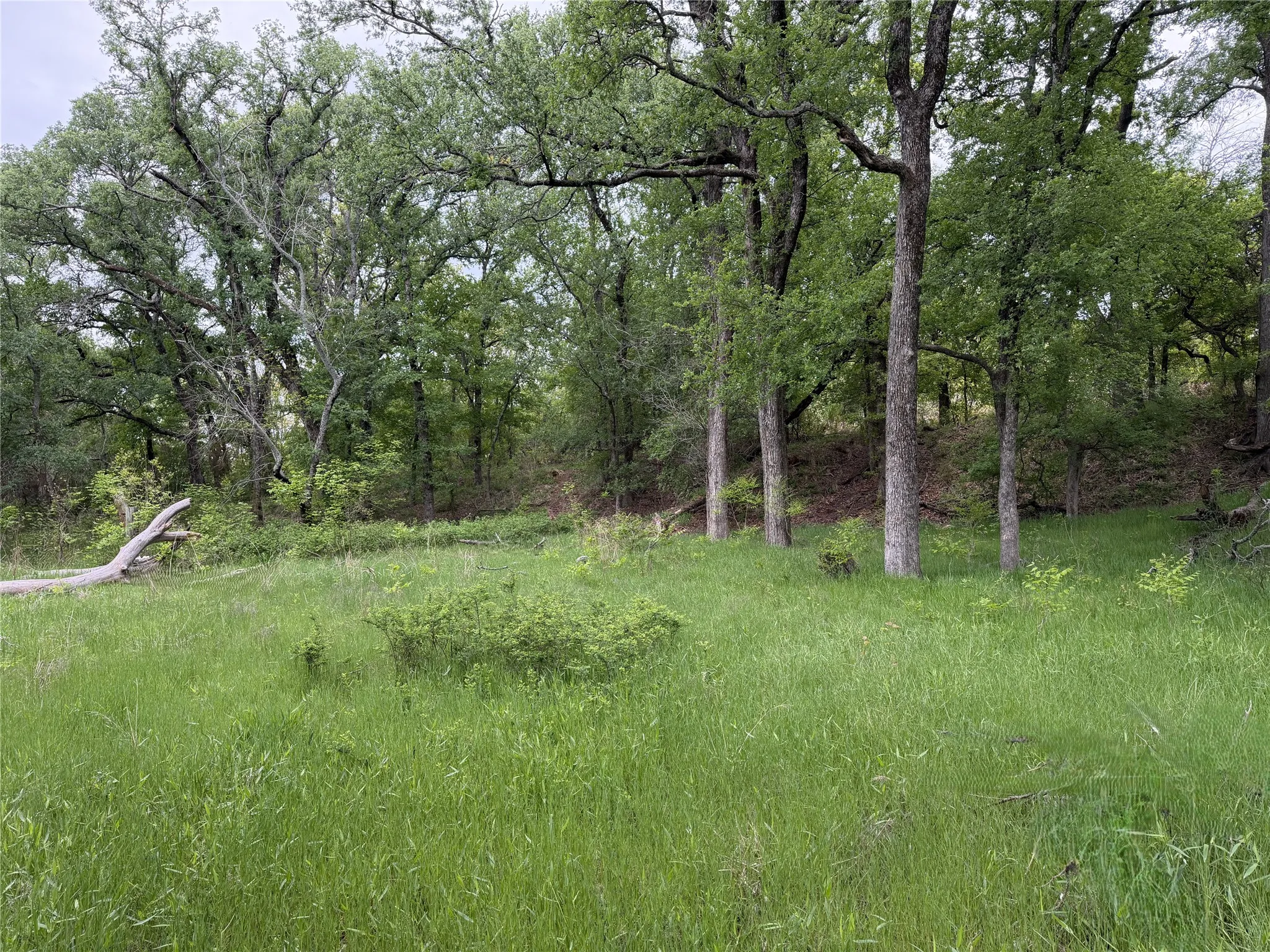 Unimproved Land For Sale in Parker County , 1576 Adell Circle, Peaster, Texas 76088, 0, 0, Garage spaces, 0 Sqft, built in 0, mls#21373661, Real Estate Agent in Peaster, Homes For Sale in Parker county, Homes For Sale in Peaster, Realtor in Peaster Texas, Real Estate Brokerage Independent Realty Texas, Luminita Cordes Realtor