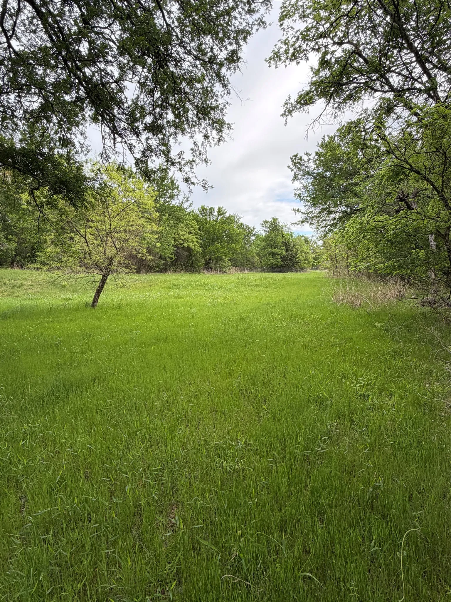 Unimproved Land For Sale in Parker County , 1576 Adell Circle, Peaster, Texas 76088, 0, 0, Garage spaces, 0 Sqft, built in 0, mls#21373661, Real Estate Agent in Peaster, Homes For Sale in Parker county, Homes For Sale in Peaster, Realtor in Peaster Texas, Real Estate Brokerage Independent Realty Texas, Luminita Cordes Realtor