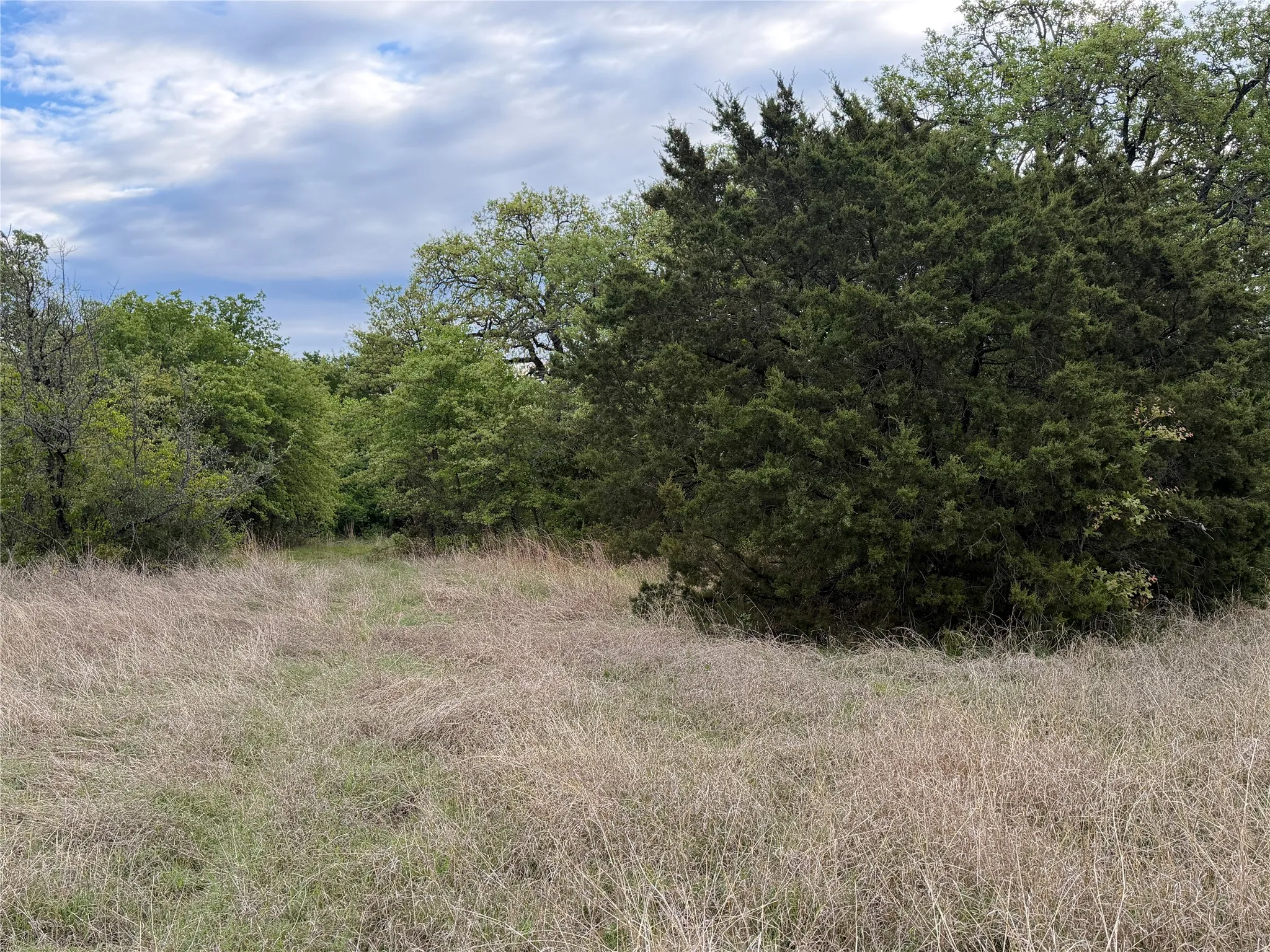 Unimproved Land For Sale in Parker County , 1576 Adell Circle, Peaster, Texas 76088, 0, 0, Garage spaces, 0 Sqft, built in 0, mls#21373661, Real Estate Agent in Peaster, Homes For Sale in Parker county, Homes For Sale in Peaster, Realtor in Peaster Texas, Real Estate Brokerage Independent Realty Texas, Luminita Cordes Realtor