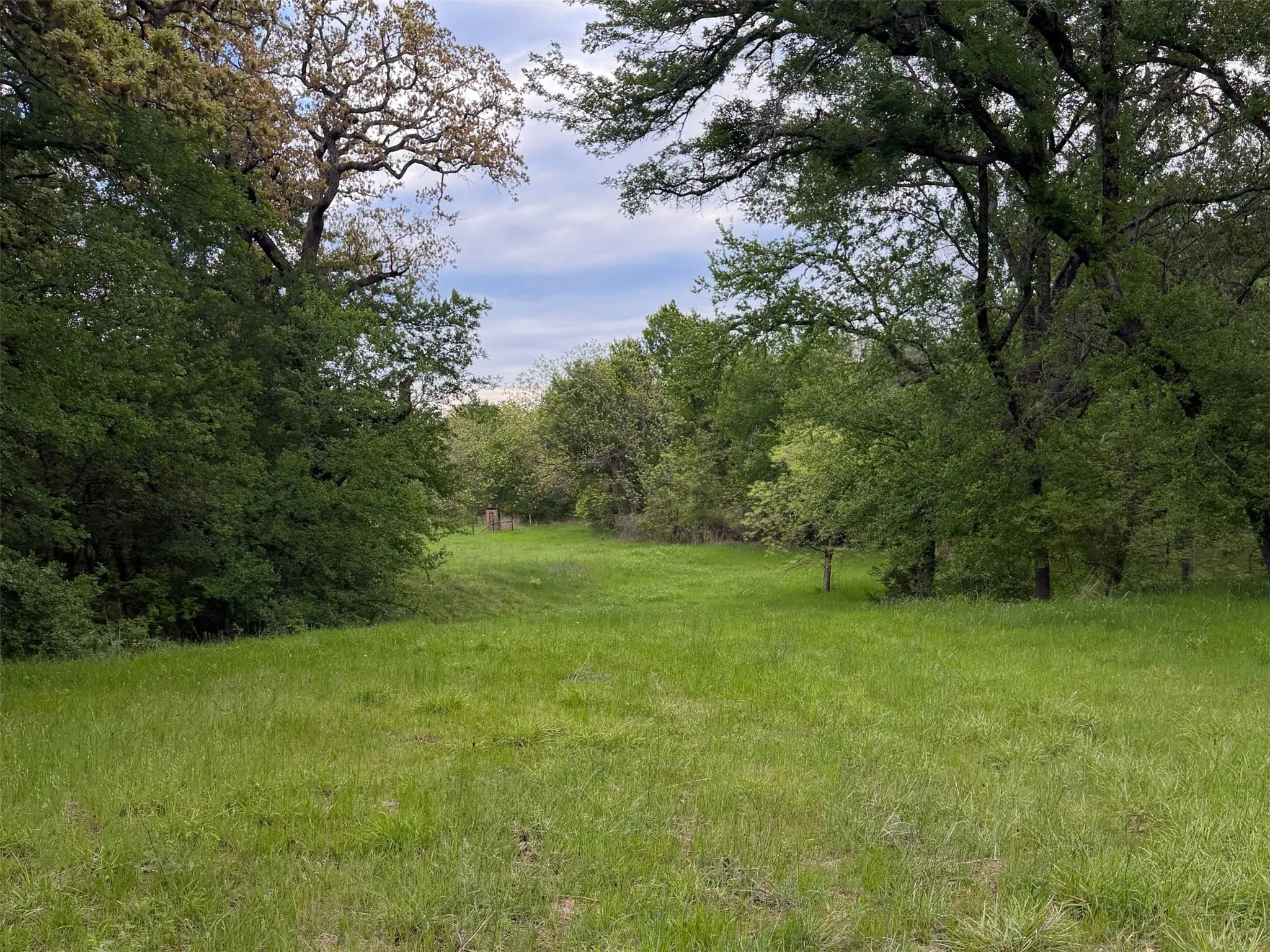 Unimproved Land For Sale in Parker County , 1576 Adell Circle, Peaster, Texas 76088, 0, 0, Garage spaces, 0 Sqft, built in 0, mls#21373661, Real Estate Agent in Peaster, Homes For Sale in Parker county, Homes For Sale in Peaster, Realtor in Peaster Texas, Real Estate Brokerage Independent Realty Texas, Luminita Cordes Realtor
