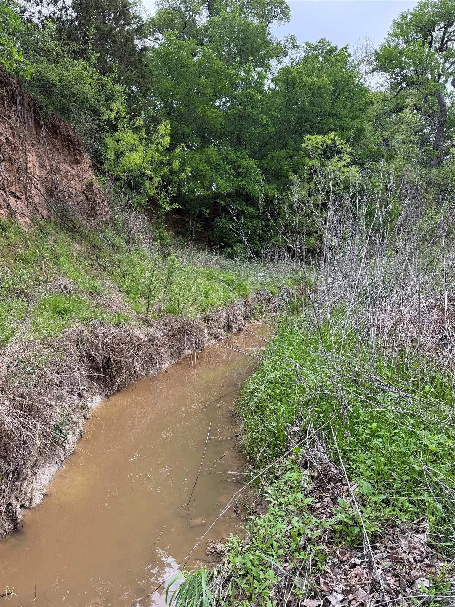 Unimproved Land For Sale in Parker County , 1576 Adell Circle, Peaster, Texas 76088, 0, 0, Garage spaces, 0 Sqft, built in 0, mls#21373661, Real Estate Agent in Peaster, Homes For Sale in Parker county, Homes For Sale in Peaster, Realtor in Peaster Texas, Real Estate Brokerage Independent Realty Texas, Luminita Cordes Realtor