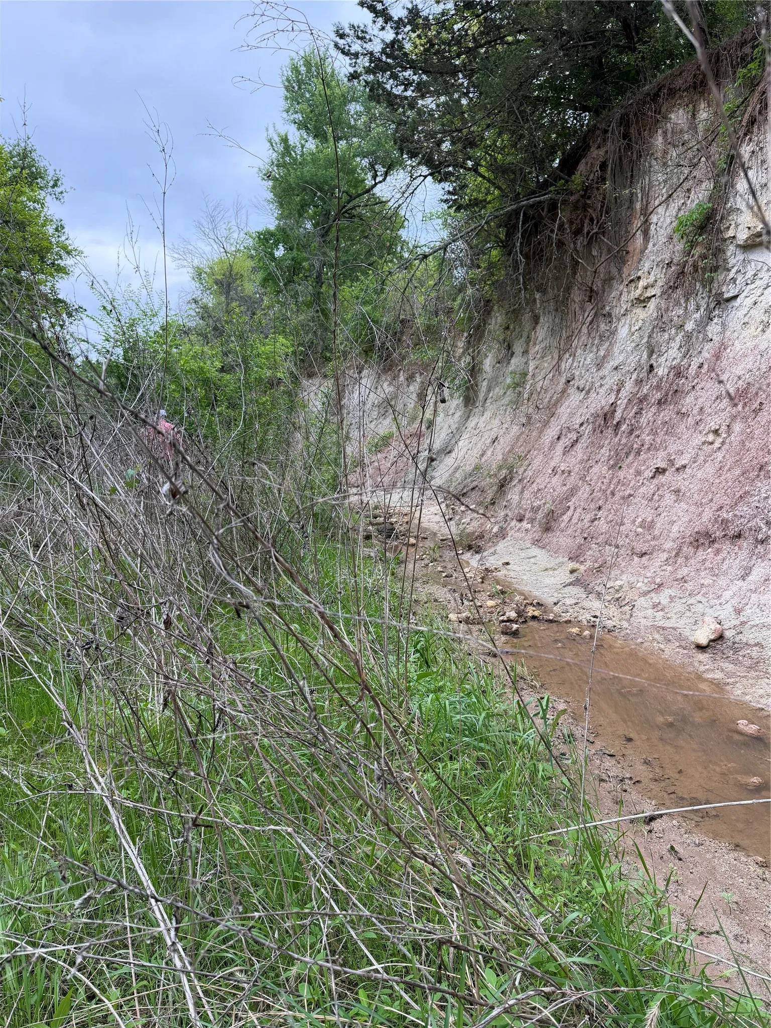 Unimproved Land For Sale in Parker County , 1576 Adell Circle, Peaster, Texas 76088, 0, 0, Garage spaces, 0 Sqft, built in 0, mls#21373661, Real Estate Agent in Peaster, Homes For Sale in Parker county, Homes For Sale in Peaster, Realtor in Peaster Texas, Real Estate Brokerage Independent Realty Texas, Luminita Cordes Realtor