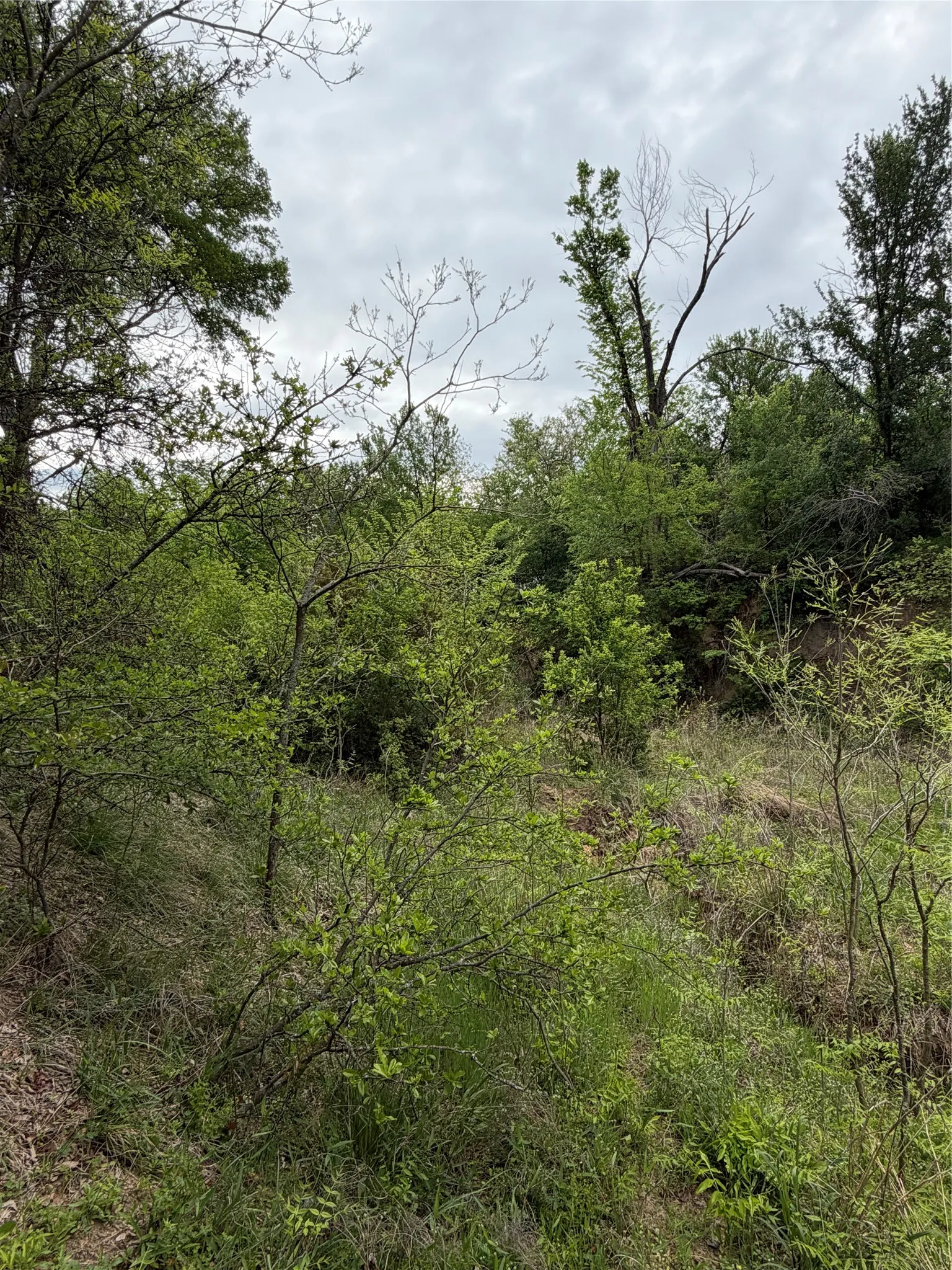 Unimproved Land For Sale in Parker County , 1576 Adell Circle, Peaster, Texas 76088, 0, 0, Garage spaces, 0 Sqft, built in 0, mls#21373661, Real Estate Agent in Peaster, Homes For Sale in Parker county, Homes For Sale in Peaster, Realtor in Peaster Texas, Real Estate Brokerage Independent Realty Texas, Luminita Cordes Realtor