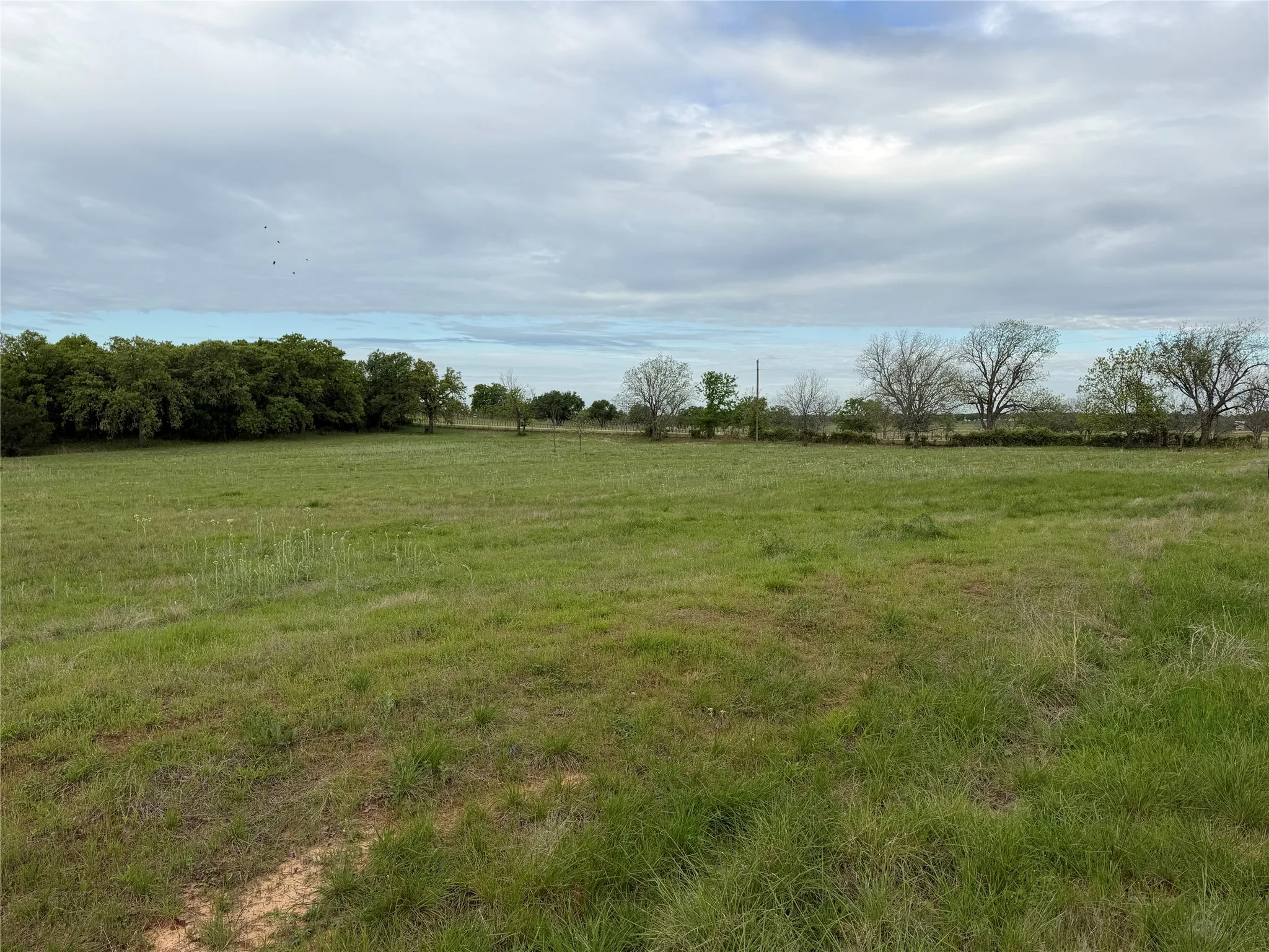 Unimproved Land For Sale in Parker County , 1576 Adell Circle, Peaster, Texas 76088, 0, 0, Garage spaces, 0 Sqft, built in 0, mls#21373661, Real Estate Agent in Peaster, Homes For Sale in Parker county, Homes For Sale in Peaster, Realtor in Peaster Texas, Real Estate Brokerage Independent Realty Texas, Luminita Cordes Realtor