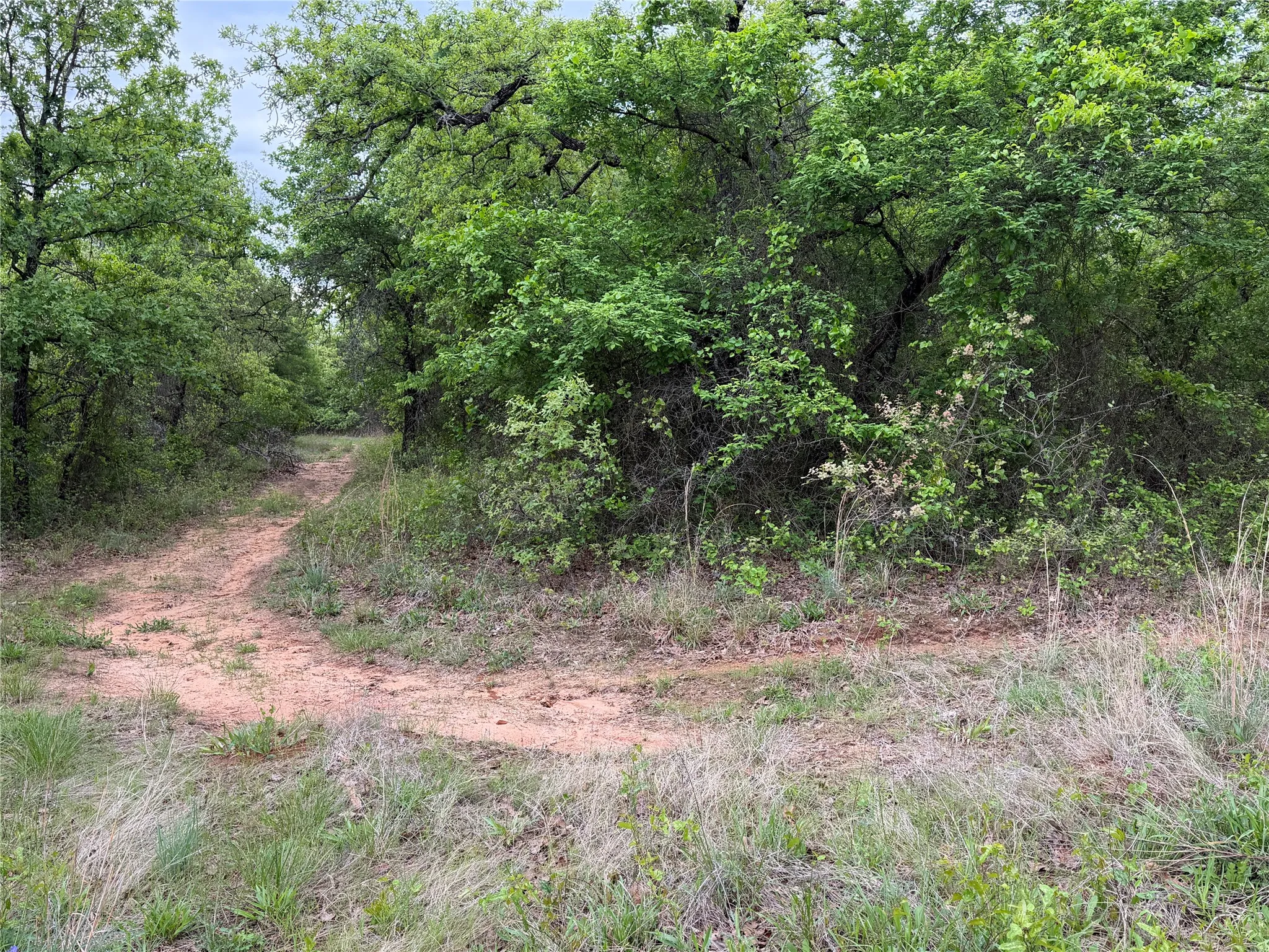 Unimproved Land For Sale in Parker County , 1576 Adell Circle, Peaster, Texas 76088, 0, 0, Garage spaces, 0 Sqft, built in 0, mls#21373661, Real Estate Agent in Peaster, Homes For Sale in Parker county, Homes For Sale in Peaster, Realtor in Peaster Texas, Real Estate Brokerage Independent Realty Texas, Luminita Cordes Realtor