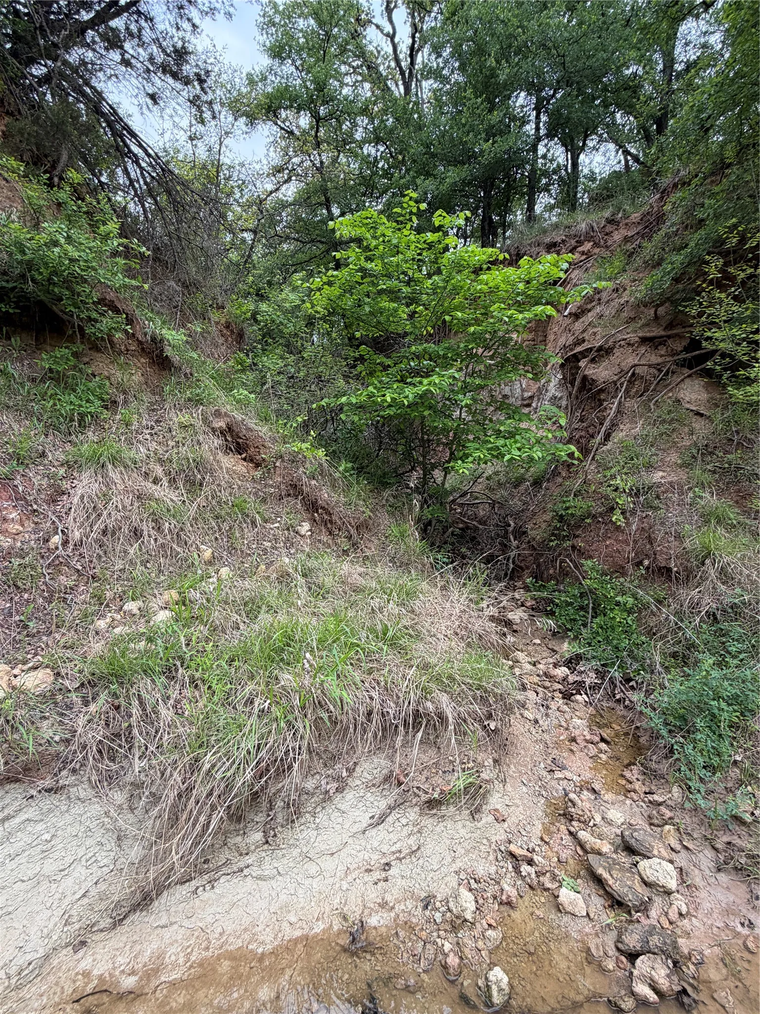 Unimproved Land For Sale in Parker County , 1576 Adell Circle, Peaster, Texas 76088, 0, 0, Garage spaces, 0 Sqft, built in 0, mls#21373661, Real Estate Agent in Peaster, Homes For Sale in Parker county, Homes For Sale in Peaster, Realtor in Peaster Texas, Real Estate Brokerage Independent Realty Texas, Luminita Cordes Realtor
