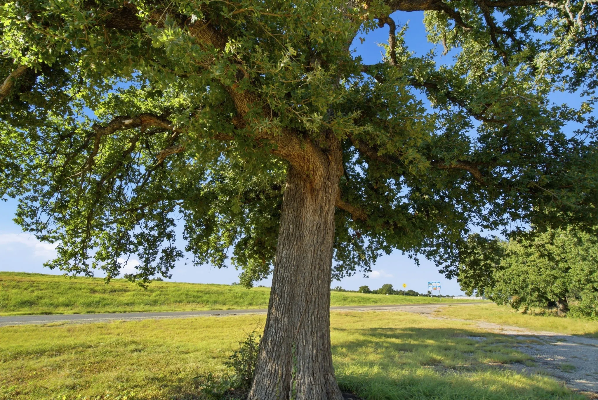 Office For Sale in Palo Pinto County , 87671 IH 20, Santo, Texas 76472, 0, 0, Garage spaces, 0 Sqft, built in 2021, mls#21373622, Real Estate Agent in Santo, Homes For Sale in Palo Pinto county, Homes For Sale in Santo, Realtor in Santo Texas, Real Estate Brokerage Independent Realty Texas, Luminita Cordes Realtor