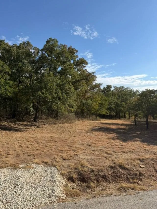 Improved Land For Sale in Montague County , 186 Cherokee Trail, Nocona, Texas 76255, 0, 0, Garage spaces, 0 Sqft, built in 0, mls#21373662, Real Estate Agent in Nocona, Homes For Sale in Montague county, Homes For Sale in Nocona, Realtor in Nocona Texas, Real Estate Brokerage Independent Realty Texas, Luminita Cordes Realtor