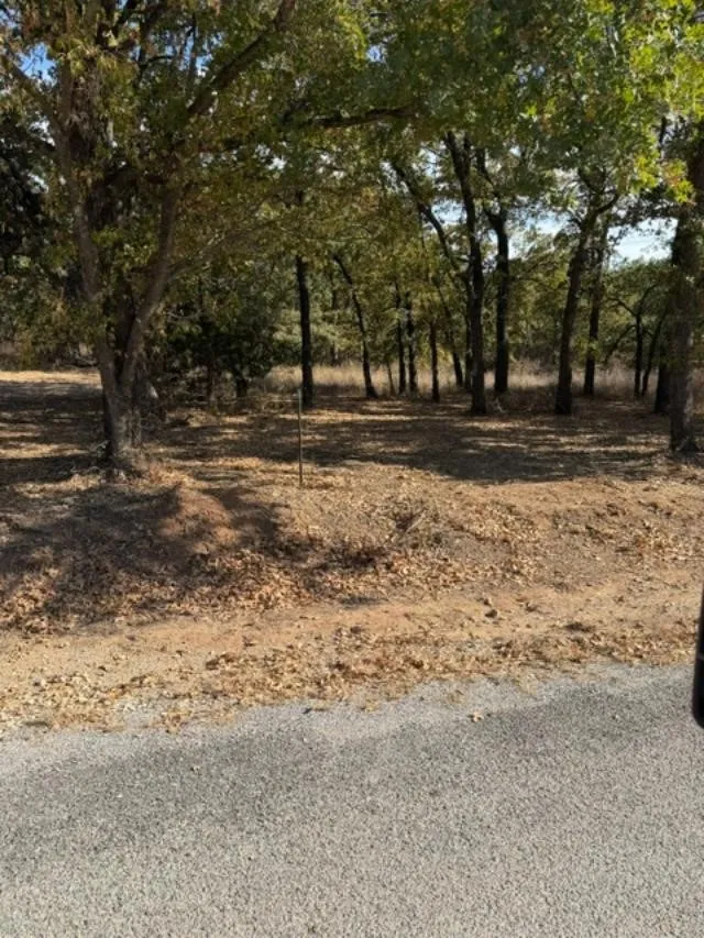 Improved Land For Sale in Montague County , 184 Cherokee Trail, Nocona, Texas 76255, 0, 0, Garage spaces, 0 Sqft, built in 0, mls#21373694, Real Estate Agent in Nocona, Homes For Sale in Montague county, Homes For Sale in Nocona, Realtor in Nocona Texas, Real Estate Brokerage Independent Realty Texas, Luminita Cordes Realtor