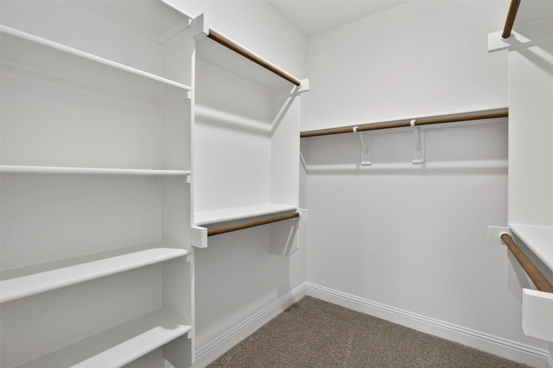 Walk-in closet featuring white built-in shelving, wood-finish hanging rods, and carpet flooring
