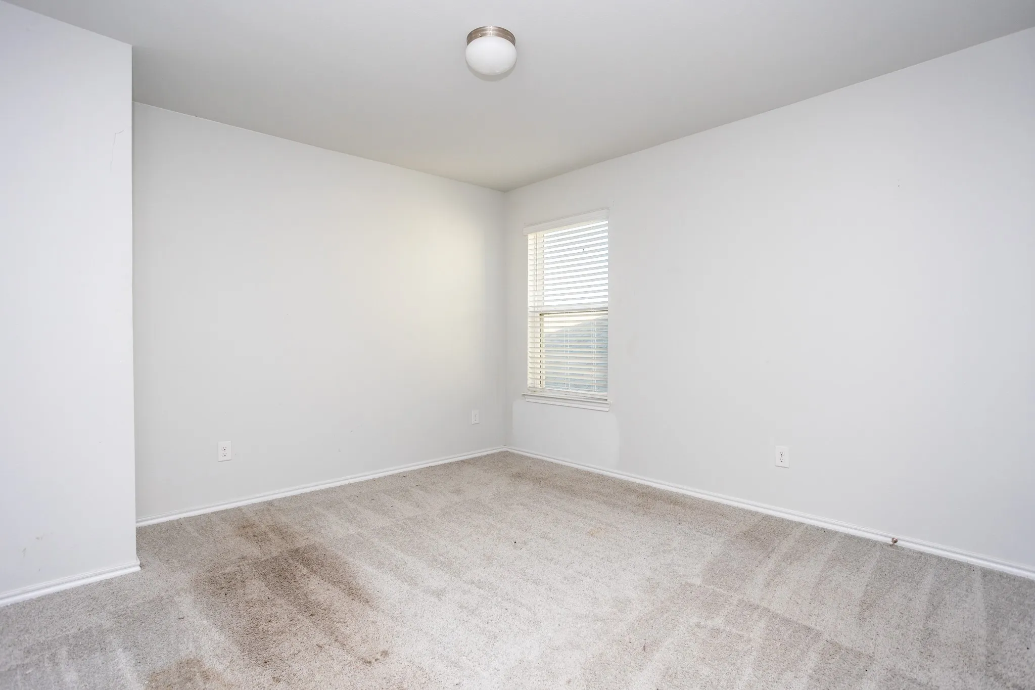 Carpeted flooring, window with blinds, ceiling-mounted light fixture, and painted walls