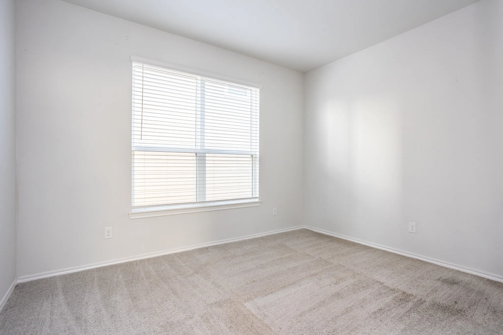 Neutral wall paint, carpet flooring, and window with blinds