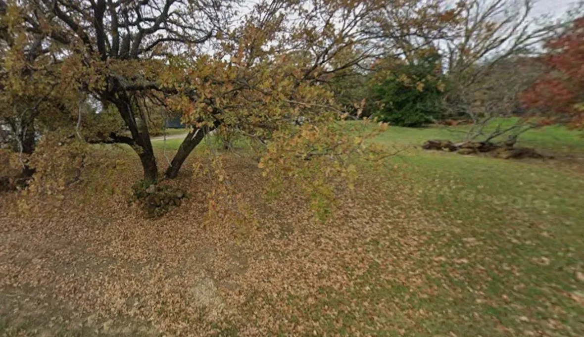 Improved Land For Sale in Denton County , 3950 T W King Road, Southlake, Texas 76092, 0, 0, Garage spaces, 0 Sqft, built in 0, mls#21369113, Real Estate Agent in Southlake, Homes For Sale in Denton county, Homes For Sale in Southlake, Realtor in Southlake Texas, Real Estate Brokerage Independent Realty Texas, Luminita Cordes Realtor