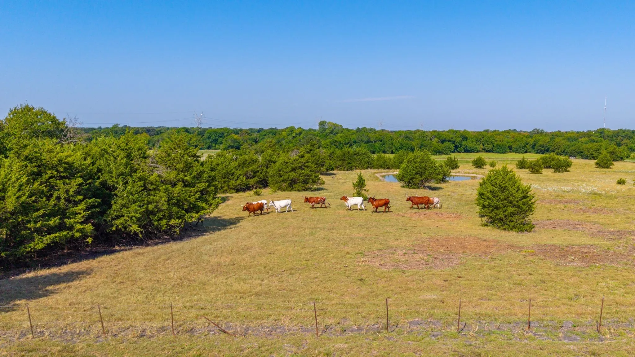 Single Family Residence For Sale in Hunt County , 1704 County Road 1002, Greenville, Texas 75401, 3 Bedroom, 2 Bathroom, Garage spaces, 2,205 Sqft, built in 2018, mls#21367116, Real Estate Agent in Greenville, Homes For Sale in Hunt county, Homes For Sale in Greenville, Realtor in Greenville Texas, Real Estate Brokerage Independent Realty Texas, Luminita Cordes Realtor
