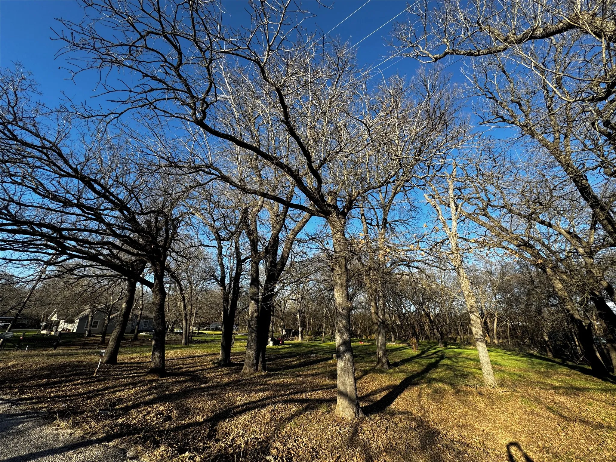 Unimproved Land For Sale in Johnson County , 175 Quail Haven Street, Alvarado, Texas 76009, 0, 0, Garage spaces, 0 Sqft, built in 0, mls#21373793, Real Estate Agent in Alvarado, Homes For Sale in Johnson county, Homes For Sale in Alvarado, Realtor in Alvarado Texas, Real Estate Brokerage Independent Realty Texas, Luminita Cordes Realtor