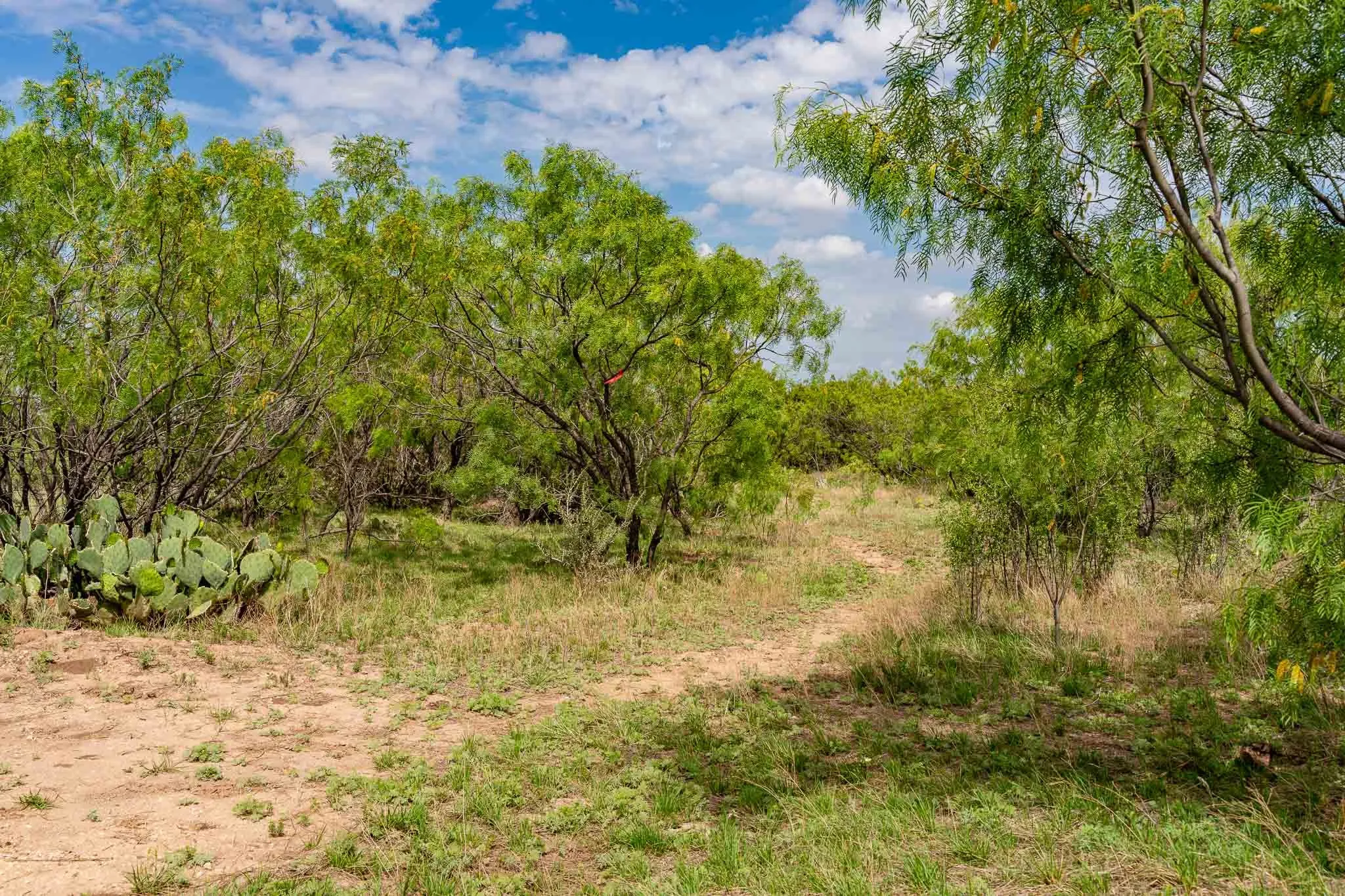 Single Family Residence For Sale in Taylor County , 1032 Braune Road, Abilene, Texas 79603, 3 Bedroom, 3 Bathroom, 3 Garage spaces, 2,922 Sqft, built in 2019, mls#21373815, Real Estate Agent in Abilene, Homes For Sale in Taylor county, Homes For Sale in Abilene, Realtor in Abilene Texas, Real Estate Brokerage Independent Realty Texas, Luminita Cordes Realtor