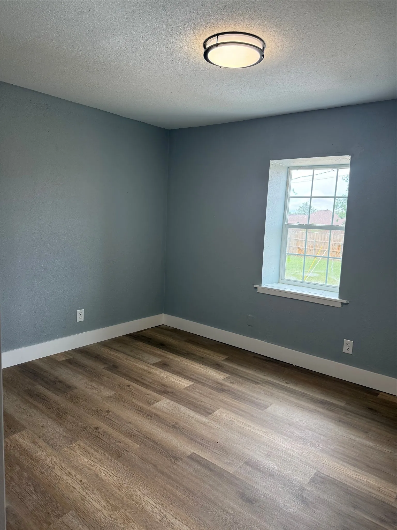 Wood-finish flooring, light blue wall paint, white trim, a single window, and a ceiling-mounted light fixture