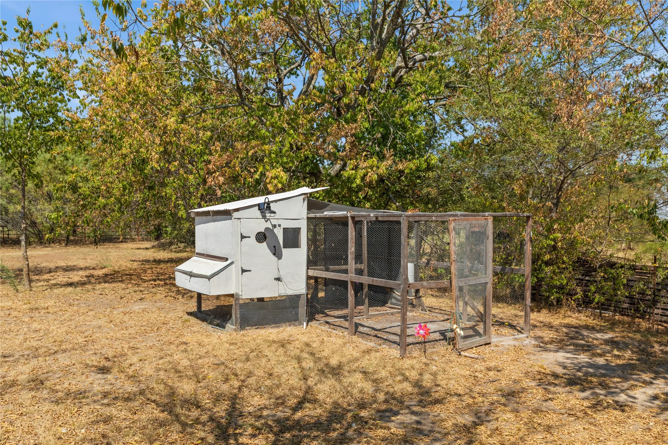 Chicken coop with attached run and surrounding mature trees