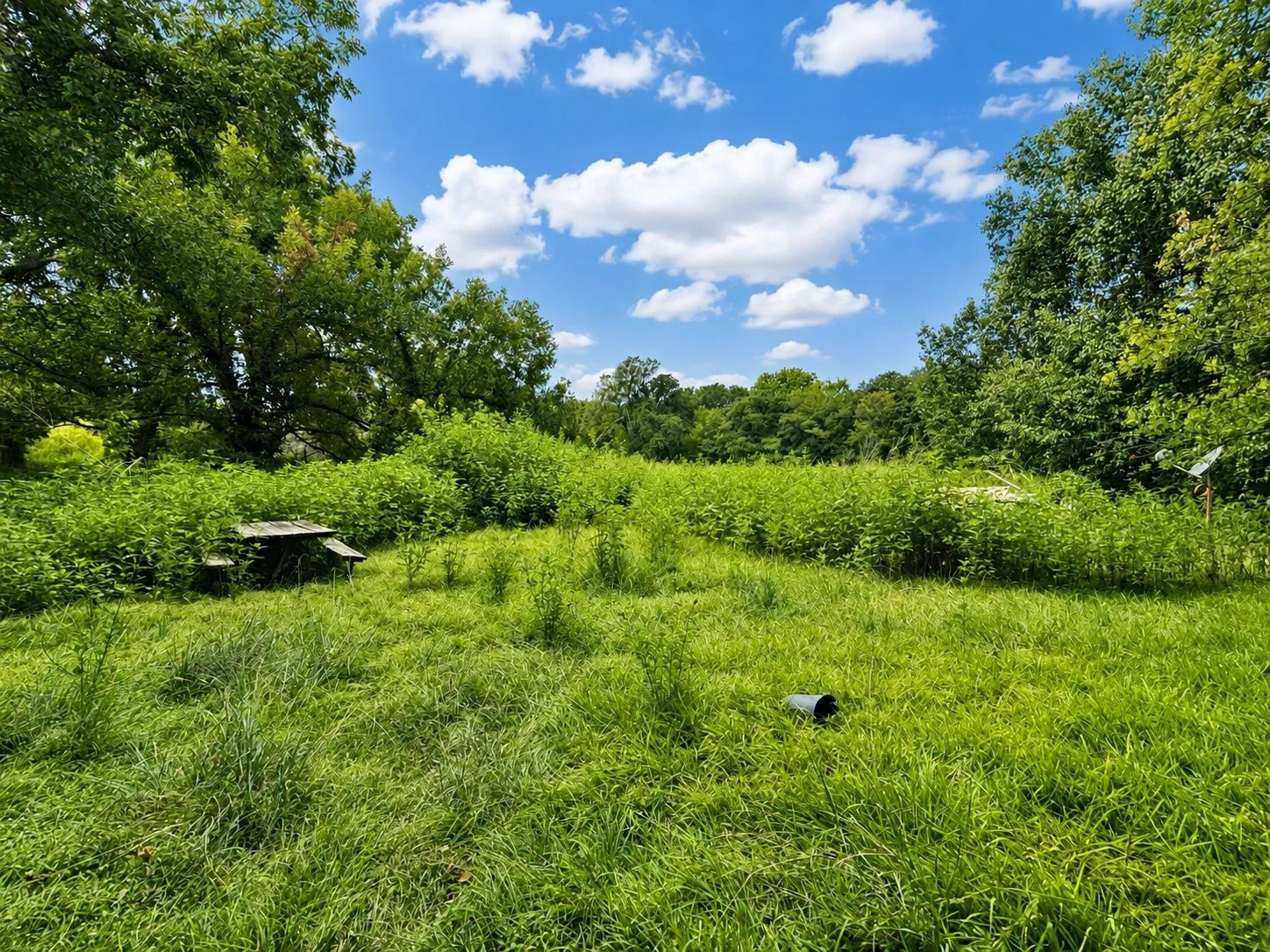 Single Family Residence For Sale in Navarro County , 7102 S Interstate Highway 45 W S, Corsicana, Texas 75109, 4 Bedroom, 2 Bathroom, Garage spaces, 2,822 Sqft, built in 1983, mls#21373788, Real Estate Agent in Corsicana, Homes For Sale in Navarro county, Homes For Sale in Corsicana, Realtor in Corsicana Texas, Real Estate Brokerage Independent Realty Texas, Luminita Cordes Realtor