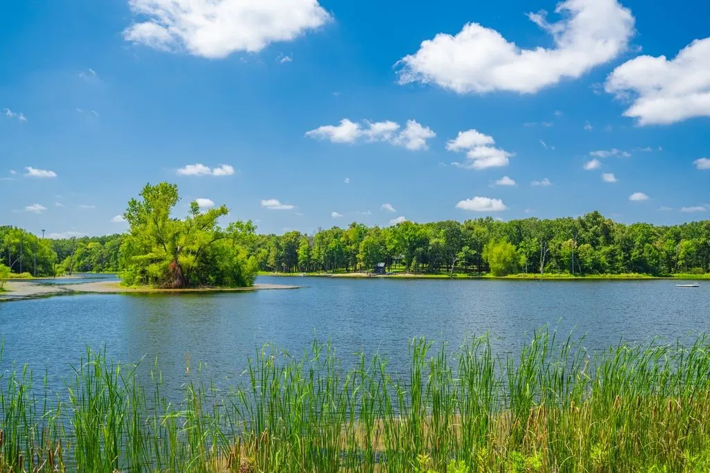 Farm For Sale in Hopkins County , 0 County Road 3573, Dike, Texas 75437, 4 Bedroom, 4 Bathroom, 2 Garage spaces, 5,100 Sqft, built in 2016, mls#21372355, Real Estate Agent in Dike, Homes For Sale in Hopkins county, Homes For Sale in Dike, Realtor in Dike Texas, Real Estate Brokerage Independent Realty Texas, Luminita Cordes Realtor