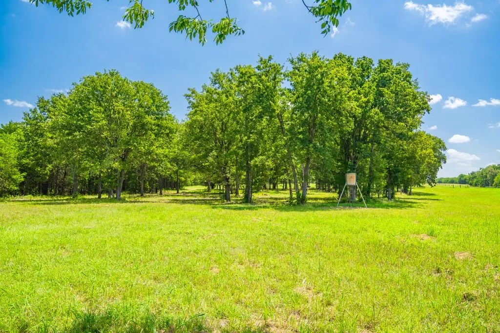 Farm For Sale in Hopkins County , 0 County Road 3573, Dike, Texas 75437, 4 Bedroom, 4 Bathroom, 2 Garage spaces, 5,100 Sqft, built in 2016, mls#21372355, Real Estate Agent in Dike, Homes For Sale in Hopkins county, Homes For Sale in Dike, Realtor in Dike Texas, Real Estate Brokerage Independent Realty Texas, Luminita Cordes Realtor