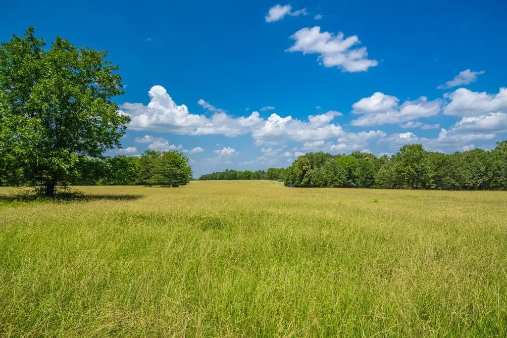Farm For Sale in Hopkins County , 0 County Road 3573, Dike, Texas 75437, 4 Bedroom, 4 Bathroom, 2 Garage spaces, 5,100 Sqft, built in 2016, mls#21372355, Real Estate Agent in Dike, Homes For Sale in Hopkins county, Homes For Sale in Dike, Realtor in Dike Texas, Real Estate Brokerage Independent Realty Texas, Luminita Cordes Realtor