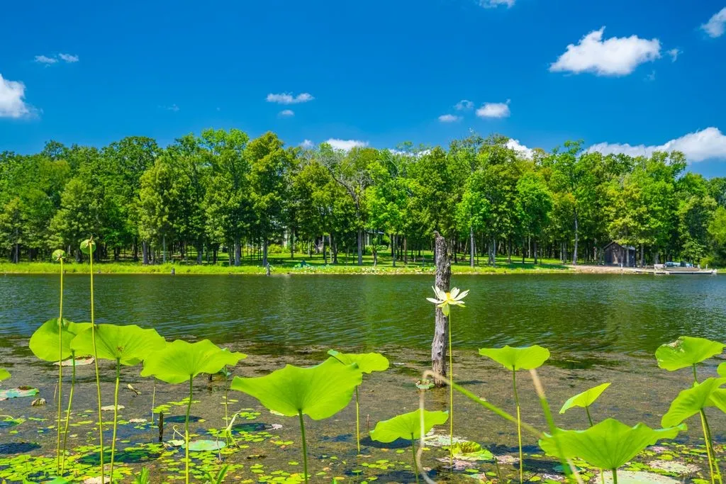Farm For Sale in Hopkins County , 0 County Road 3573, Dike, Texas 75437, 4 Bedroom, 4 Bathroom, 2 Garage spaces, 5,100 Sqft, built in 2016, mls#21372355, Real Estate Agent in Dike, Homes For Sale in Hopkins county, Homes For Sale in Dike, Realtor in Dike Texas, Real Estate Brokerage Independent Realty Texas, Luminita Cordes Realtor