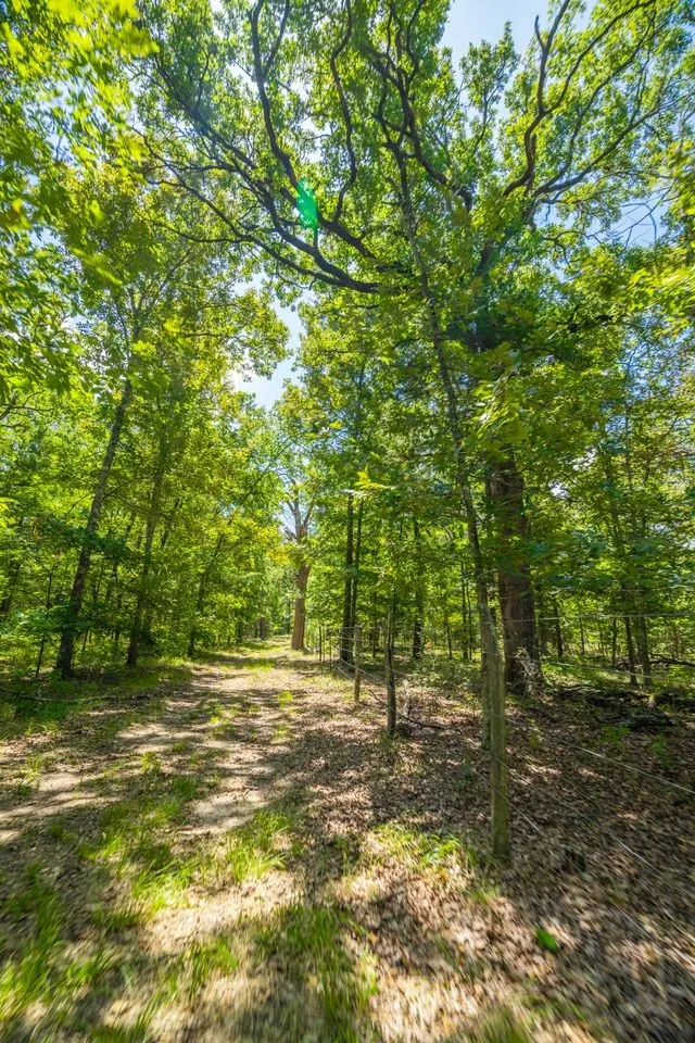 Farm For Sale in Hopkins County , 0 County Road 3573, Dike, Texas 75437, 4 Bedroom, 4 Bathroom, 2 Garage spaces, 5,100 Sqft, built in 2016, mls#21372355, Real Estate Agent in Dike, Homes For Sale in Hopkins county, Homes For Sale in Dike, Realtor in Dike Texas, Real Estate Brokerage Independent Realty Texas, Luminita Cordes Realtor