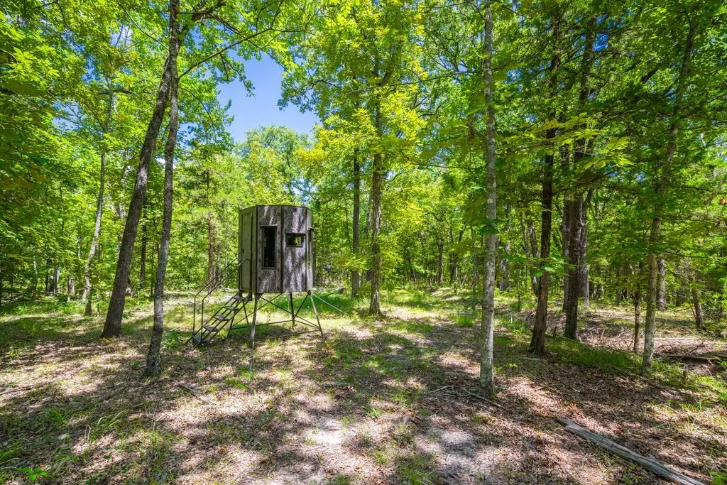 Farm For Sale in Hopkins County , 0 County Road 3573, Dike, Texas 75437, 4 Bedroom, 4 Bathroom, 2 Garage spaces, 5,100 Sqft, built in 2016, mls#21372355, Real Estate Agent in Dike, Homes For Sale in Hopkins county, Homes For Sale in Dike, Realtor in Dike Texas, Real Estate Brokerage Independent Realty Texas, Luminita Cordes Realtor