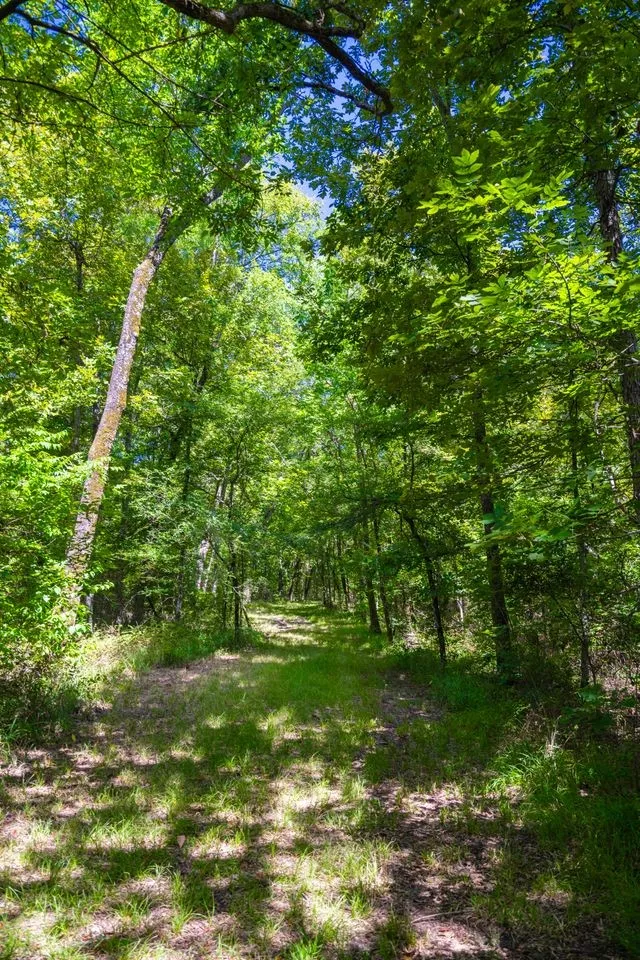 Farm For Sale in Hopkins County , 0 County Road 3573, Dike, Texas 75437, 4 Bedroom, 4 Bathroom, 2 Garage spaces, 5,100 Sqft, built in 2016, mls#21372355, Real Estate Agent in Dike, Homes For Sale in Hopkins county, Homes For Sale in Dike, Realtor in Dike Texas, Real Estate Brokerage Independent Realty Texas, Luminita Cordes Realtor