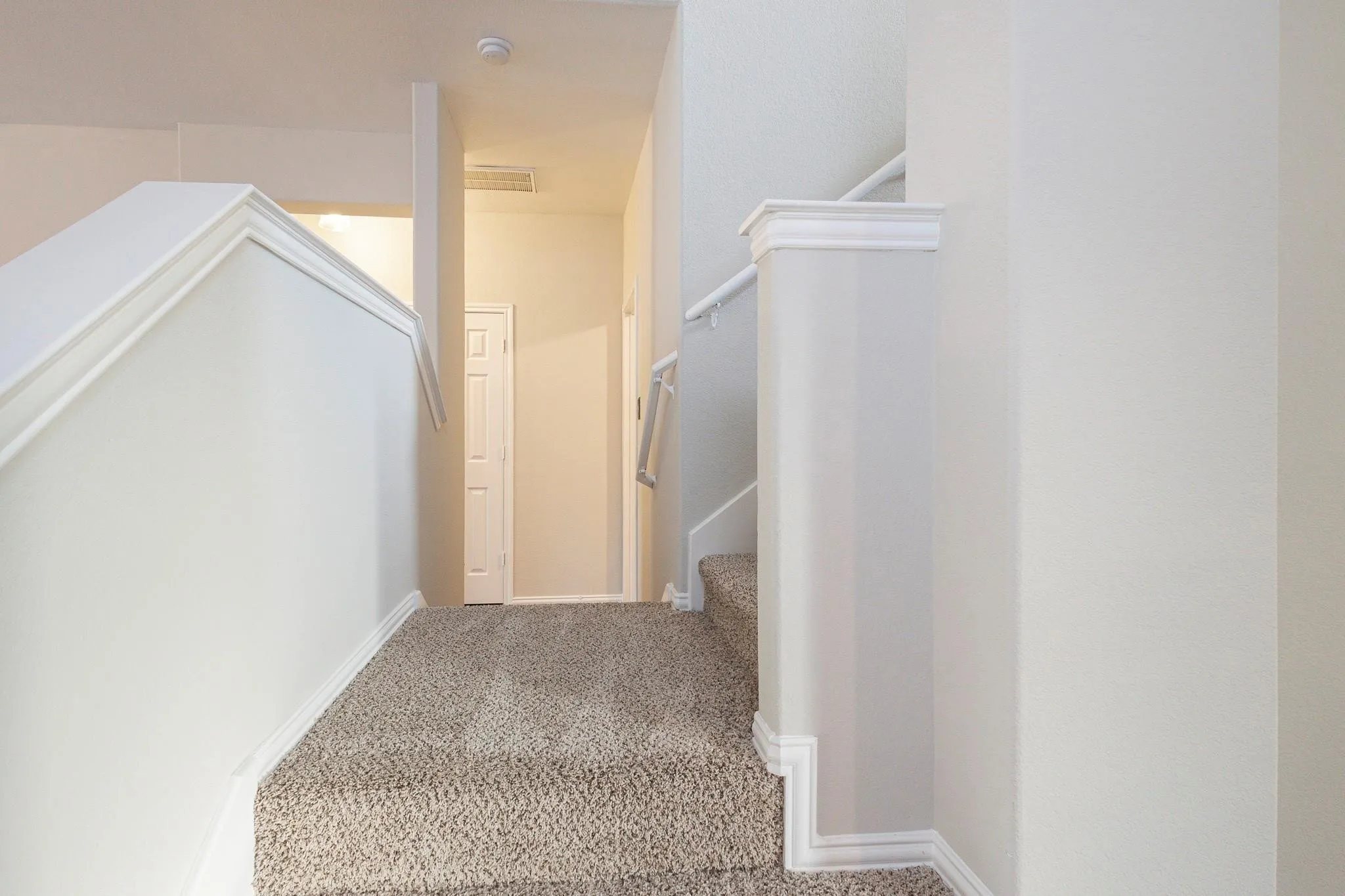 Carpeted staircase with white painted risers, wall-mounted handrail, and a paneled interior door
