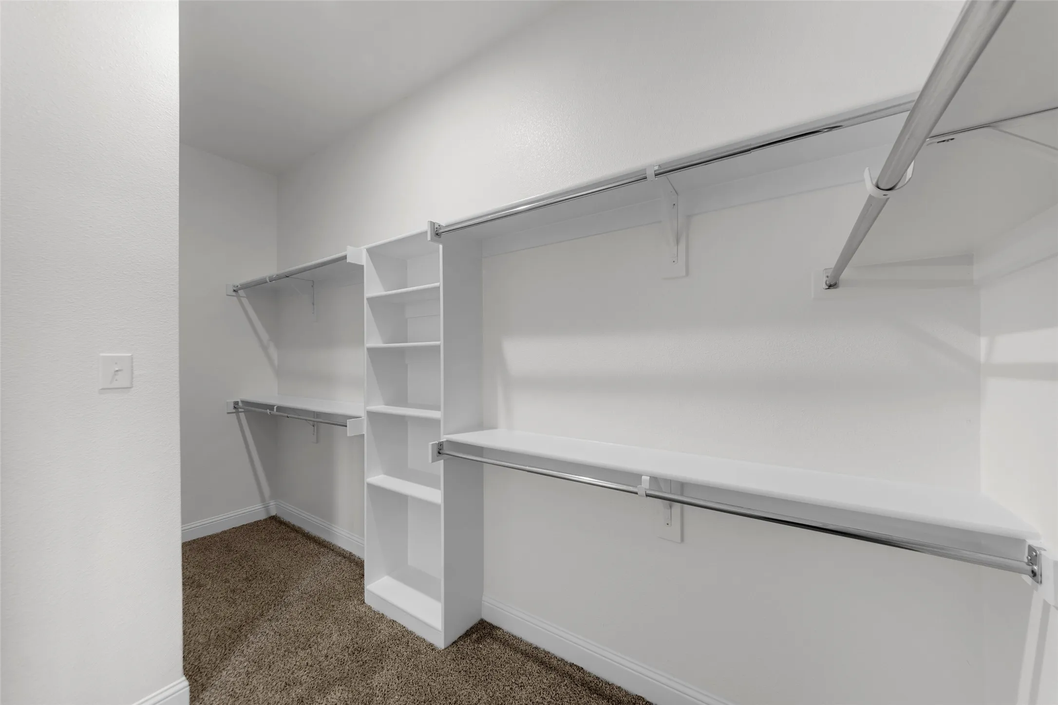 Walk-in closet with carpet flooring, white shelving, and chrome hanging rods