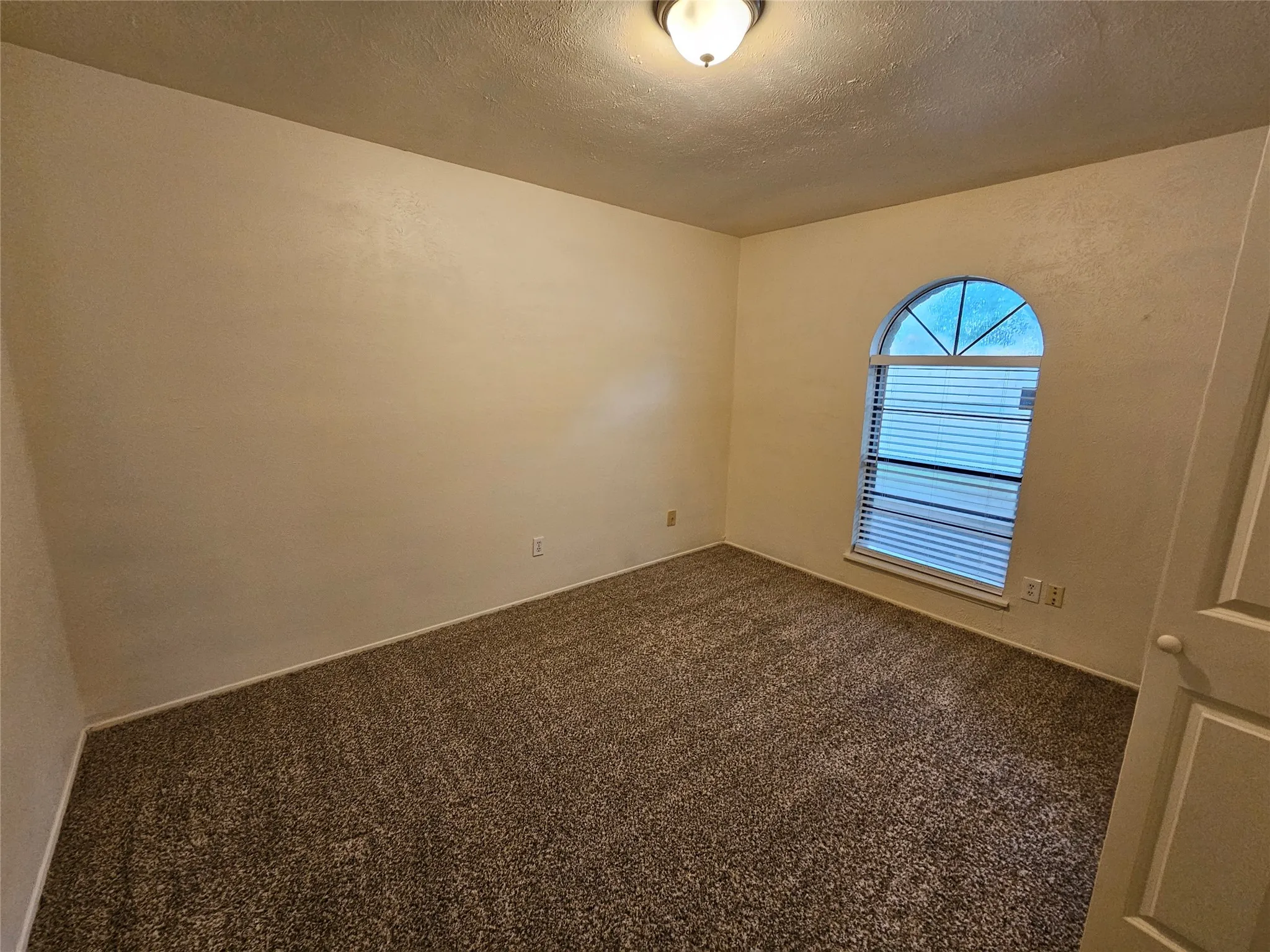 Arched window with blinds, overhead light fixture, light-toned walls, and patterned carpeting