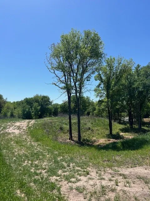Unimproved Land For Sale in Parker County , 1004 Bermes Court, Brock, Texas 76087, 0, 0, Garage spaces, 0 Sqft, built in 0, mls#21373938, Real Estate Agent in Brock, Homes For Sale in Parker county, Homes For Sale in Brock, Realtor in Brock Texas, Real Estate Brokerage Independent Realty Texas, Luminita Cordes Realtor