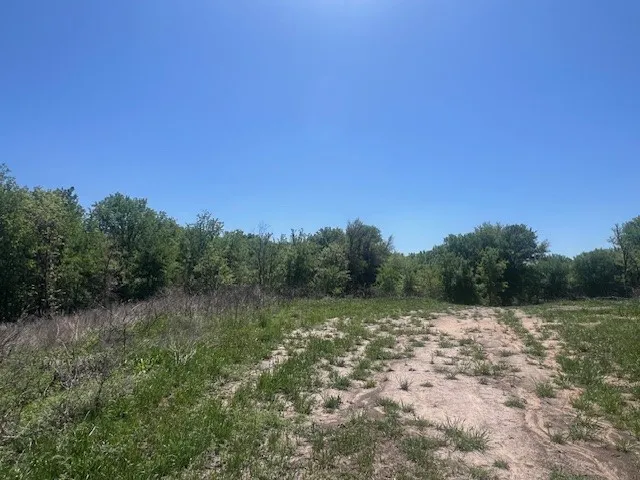 Unimproved Land For Sale in Parker County , 1004 Bermes Court, Brock, Texas 76087, 0, 0, Garage spaces, 0 Sqft, built in 0, mls#21373938, Real Estate Agent in Brock, Homes For Sale in Parker county, Homes For Sale in Brock, Realtor in Brock Texas, Real Estate Brokerage Independent Realty Texas, Luminita Cordes Realtor
