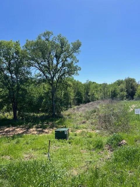 Unimproved Land For Sale in Parker County , 1004 Bermes Court, Brock, Texas 76087, 0, 0, Garage spaces, 0 Sqft, built in 0, mls#21373938, Real Estate Agent in Brock, Homes For Sale in Parker county, Homes For Sale in Brock, Realtor in Brock Texas, Real Estate Brokerage Independent Realty Texas, Luminita Cordes Realtor