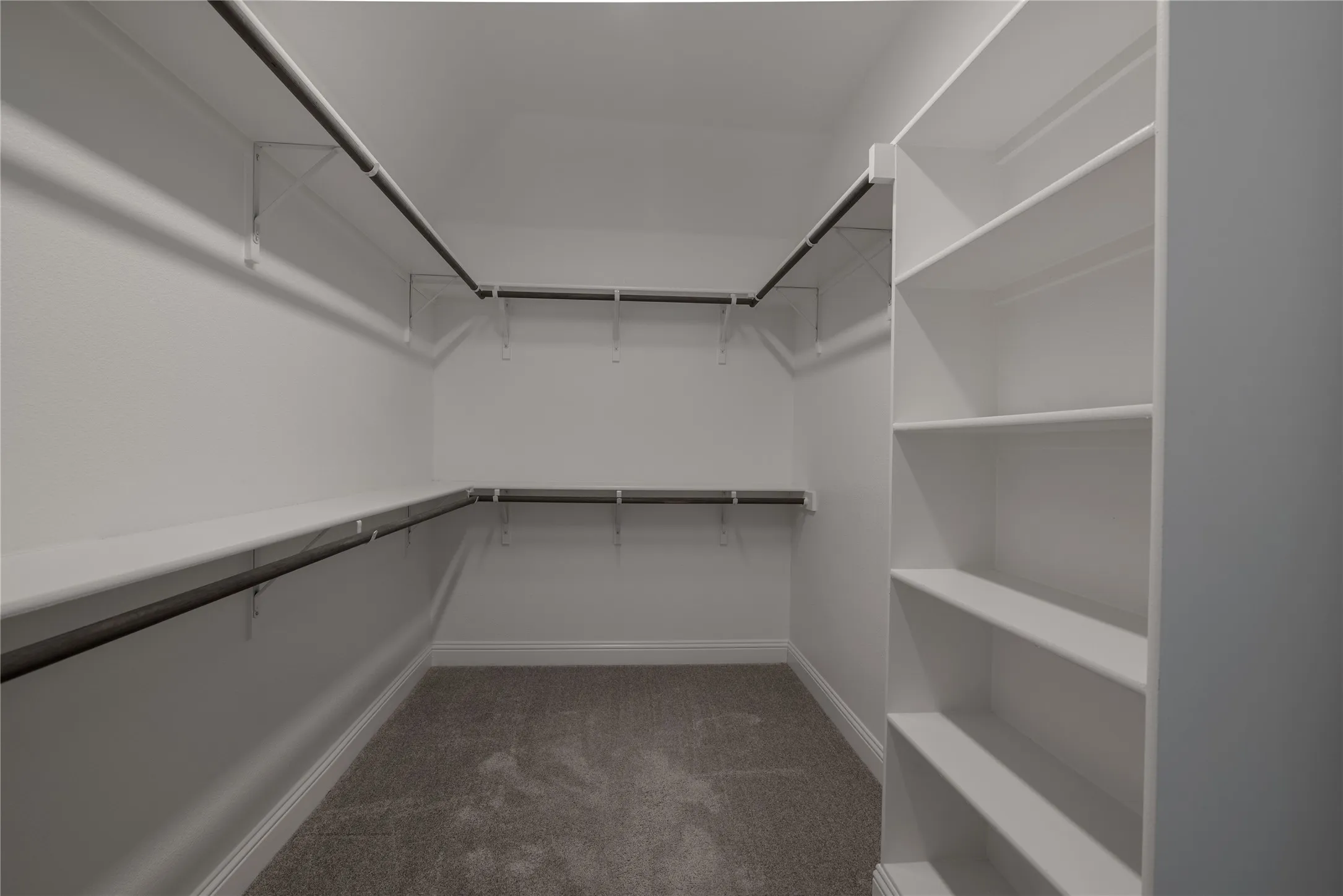 Walk-in closet featuring carpeted flooring, built-in shelving, and multiple clothing rods