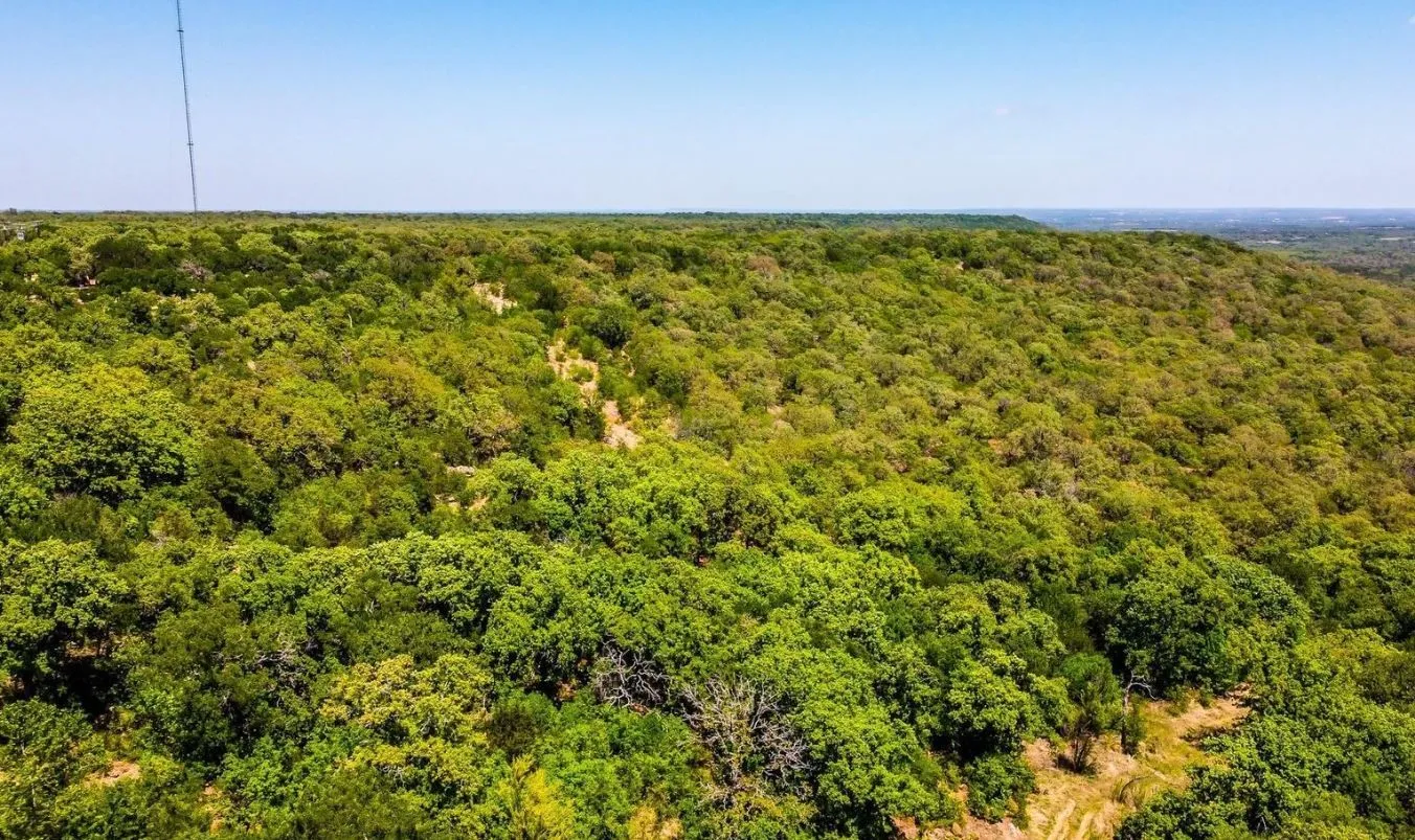 Ranch For Sale in Palo Pinto County , TBD HWY 281 TRACT 2, Mineral Wells, Texas 76067, 0, 0, Garage spaces, 0 Sqft, built in 0, mls#21373940, Real Estate Agent in Mineral Wells, Homes For Sale in Palo Pinto county, Homes For Sale in Mineral Wells, Realtor in Mineral Wells Texas, Real Estate Brokerage Independent Realty Texas, Luminita Cordes Realtor