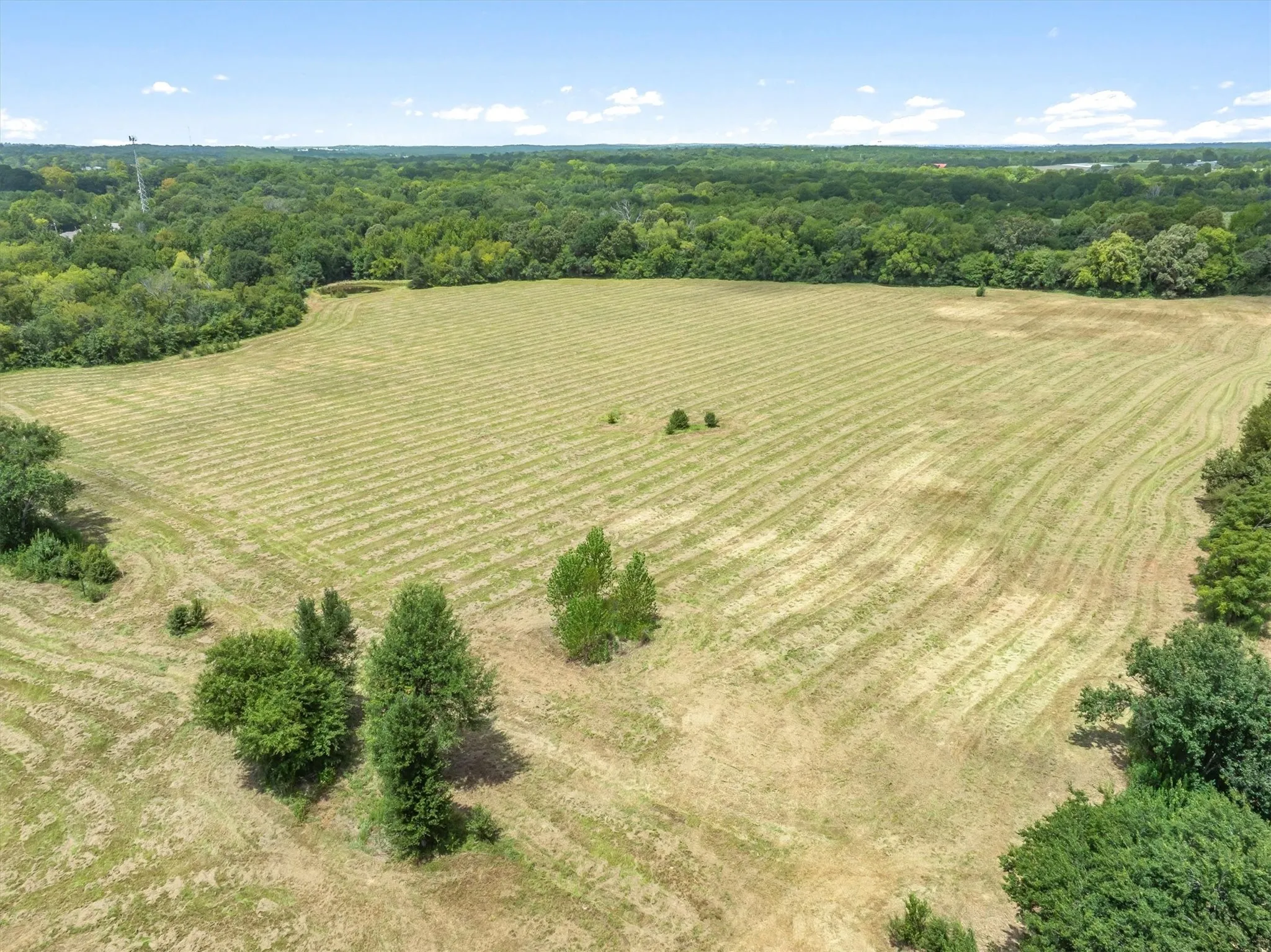 Improved Land For Sale in Henderson County , TBD Wood Street, Athens, Texas 75751, 0, 0, Garage spaces, 0 Sqft, built in 0, mls#21368739, Real Estate Agent in Athens, Homes For Sale in Henderson county, Homes For Sale in Athens, Realtor in Athens Texas, Real Estate Brokerage Independent Realty Texas, Luminita Cordes Realtor