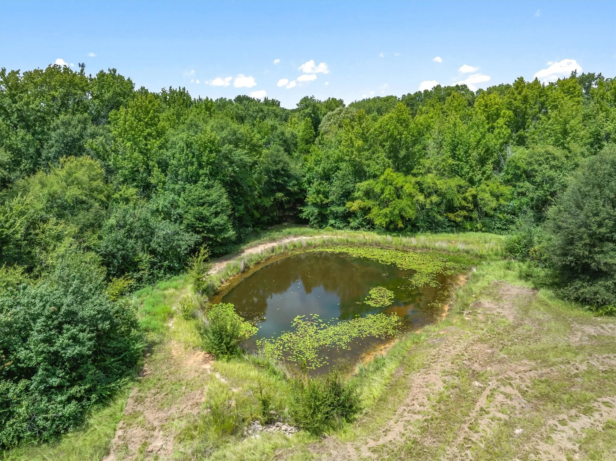 Improved Land For Sale in Henderson County , TBD Wood Street, Athens, Texas 75751, 0, 0, Garage spaces, 0 Sqft, built in 0, mls#21368739, Real Estate Agent in Athens, Homes For Sale in Henderson county, Homes For Sale in Athens, Realtor in Athens Texas, Real Estate Brokerage Independent Realty Texas, Luminita Cordes Realtor