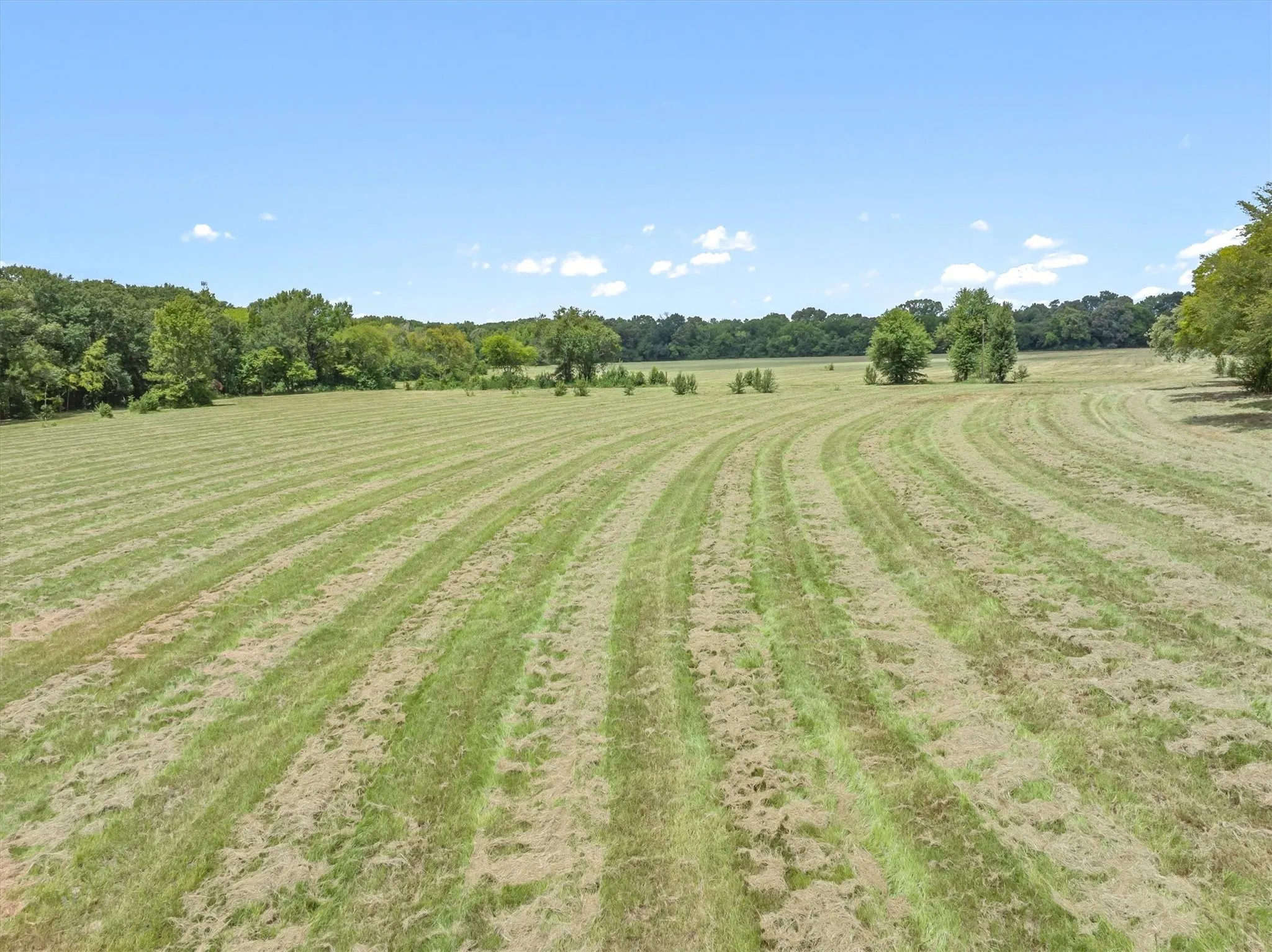 Improved Land For Sale in Henderson County , TBD Wood Street, Athens, Texas 75751, 0, 0, Garage spaces, 0 Sqft, built in 0, mls#21368739, Real Estate Agent in Athens, Homes For Sale in Henderson county, Homes For Sale in Athens, Realtor in Athens Texas, Real Estate Brokerage Independent Realty Texas, Luminita Cordes Realtor