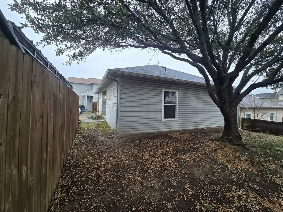 Small low maintenance yard