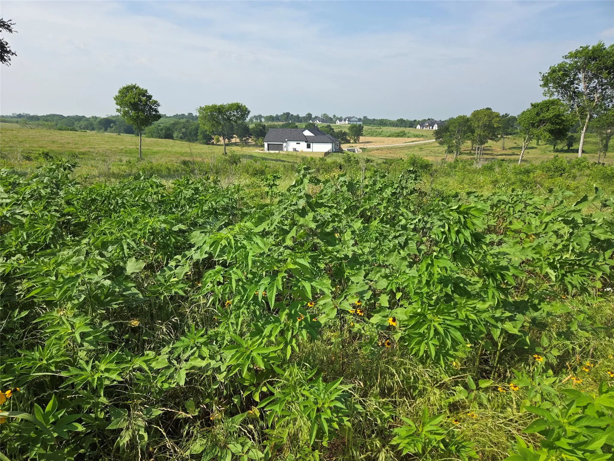 Unimproved Land For Sale in Navarro County , Lot 42 Barefoot Bay Boulevard, Corsicana, Texas 75109, 0, 0, Garage spaces, 0 Sqft, built in 0, mls#21372393, Real Estate Agent in Corsicana, Homes For Sale in Navarro county, Homes For Sale in Corsicana, Realtor in Corsicana Texas, Real Estate Brokerage Independent Realty Texas, Luminita Cordes Realtor