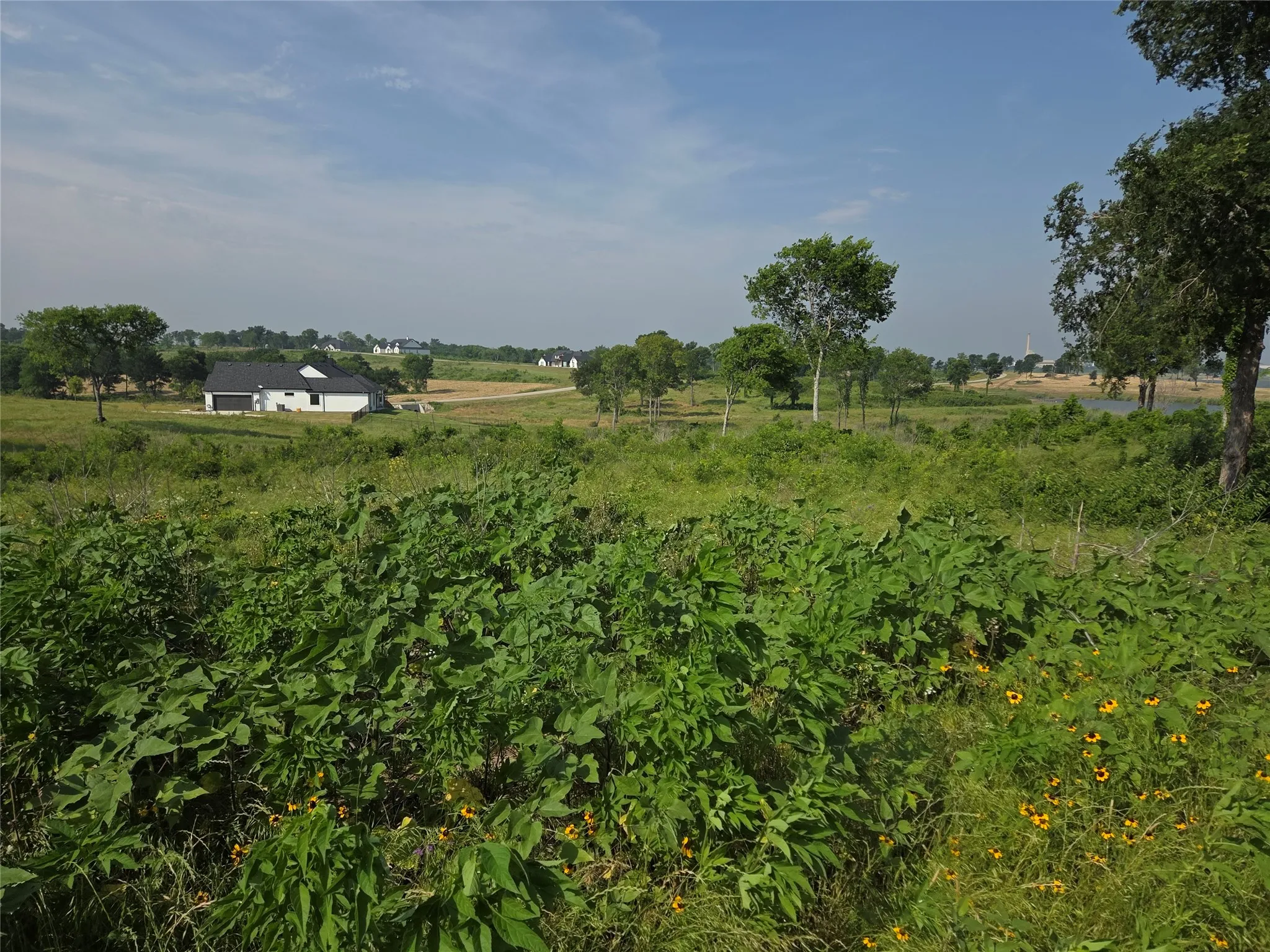 Unimproved Land For Sale in Navarro County , Lot 42 Barefoot Bay Boulevard, Corsicana, Texas 75109, 0, 0, Garage spaces, 0 Sqft, built in 0, mls#21372393, Real Estate Agent in Corsicana, Homes For Sale in Navarro county, Homes For Sale in Corsicana, Realtor in Corsicana Texas, Real Estate Brokerage Independent Realty Texas, Luminita Cordes Realtor