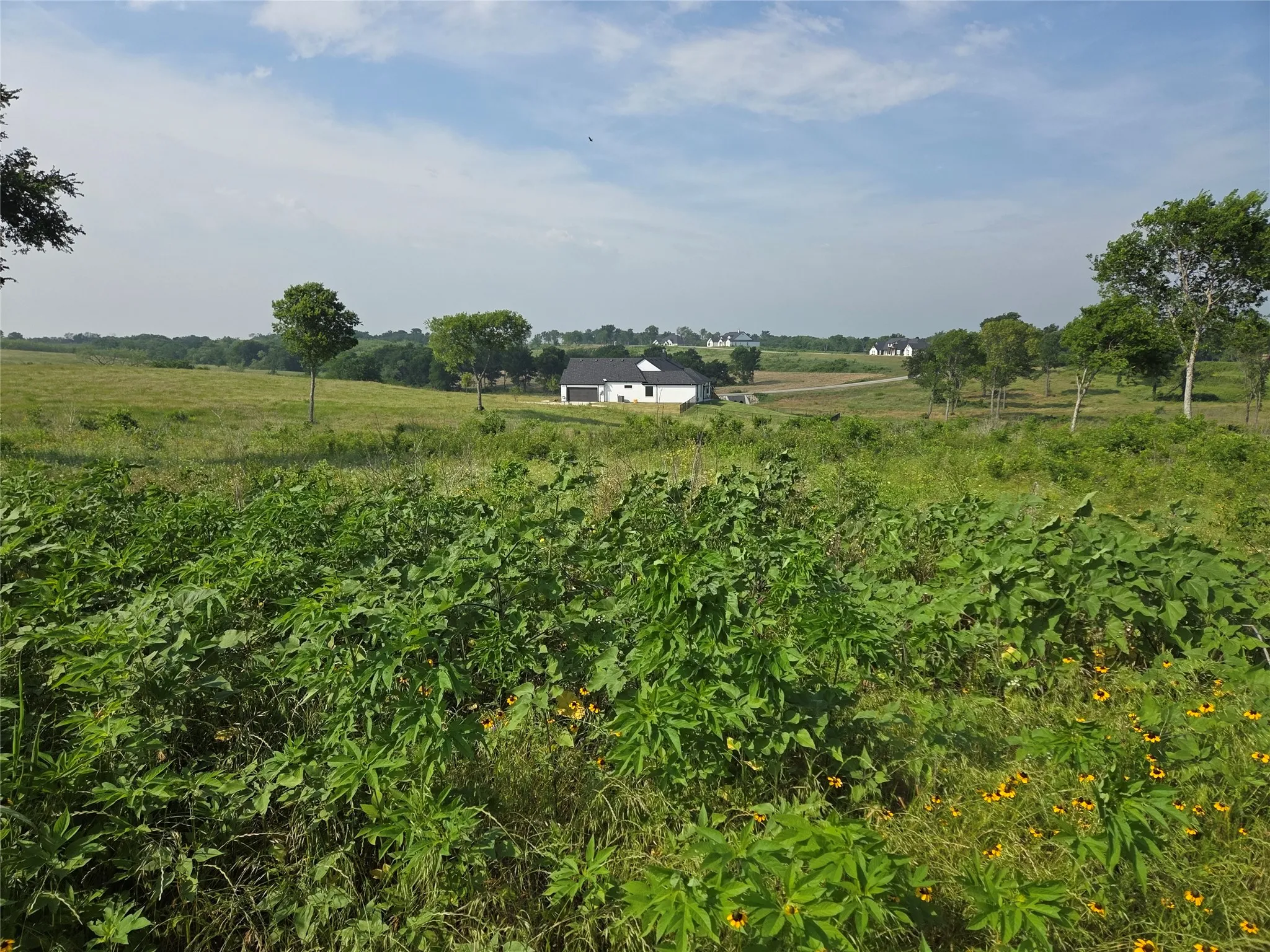 Unimproved Land For Sale in Navarro County , Lot 42 Barefoot Bay Boulevard, Corsicana, Texas 75109, 0, 0, Garage spaces, 0 Sqft, built in 0, mls#21372393, Real Estate Agent in Corsicana, Homes For Sale in Navarro county, Homes For Sale in Corsicana, Realtor in Corsicana Texas, Real Estate Brokerage Independent Realty Texas, Luminita Cordes Realtor